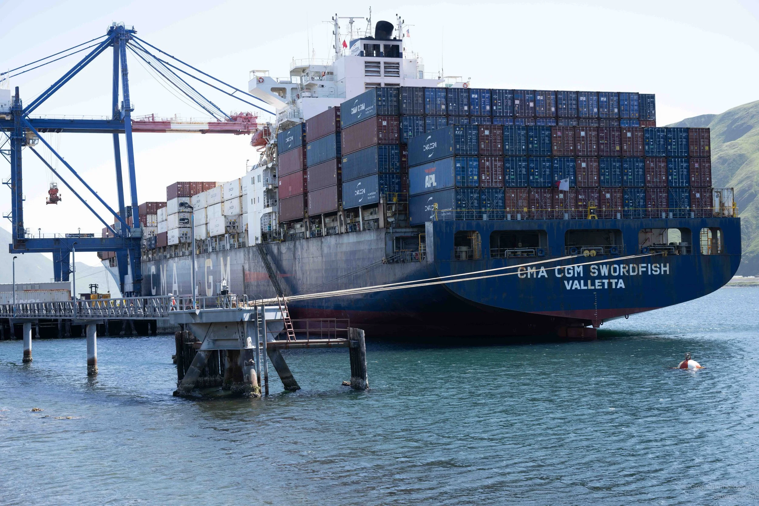 _NZ74065.jpg
