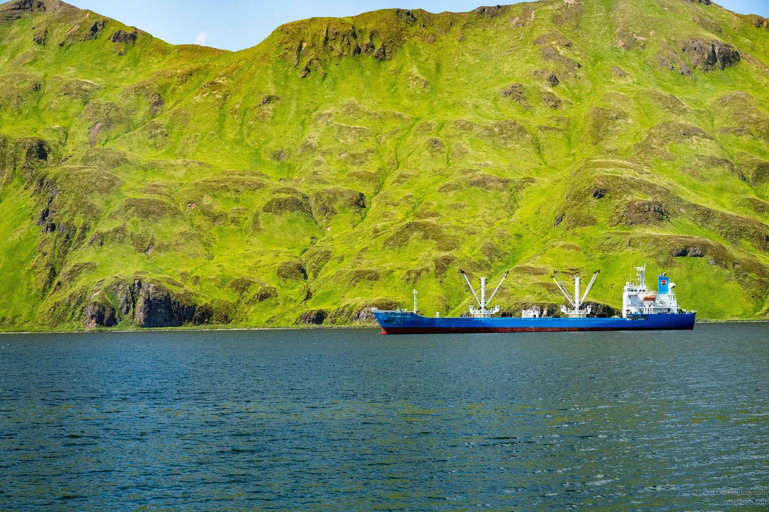 NZ8_6874.jpg