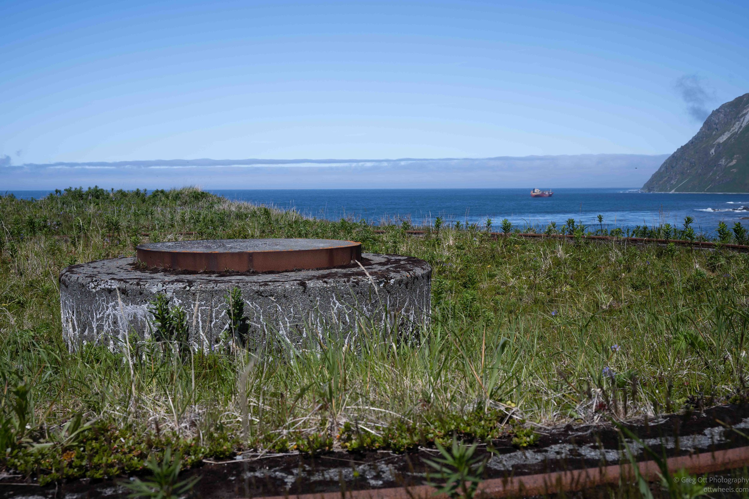 _NZ74151.jpg