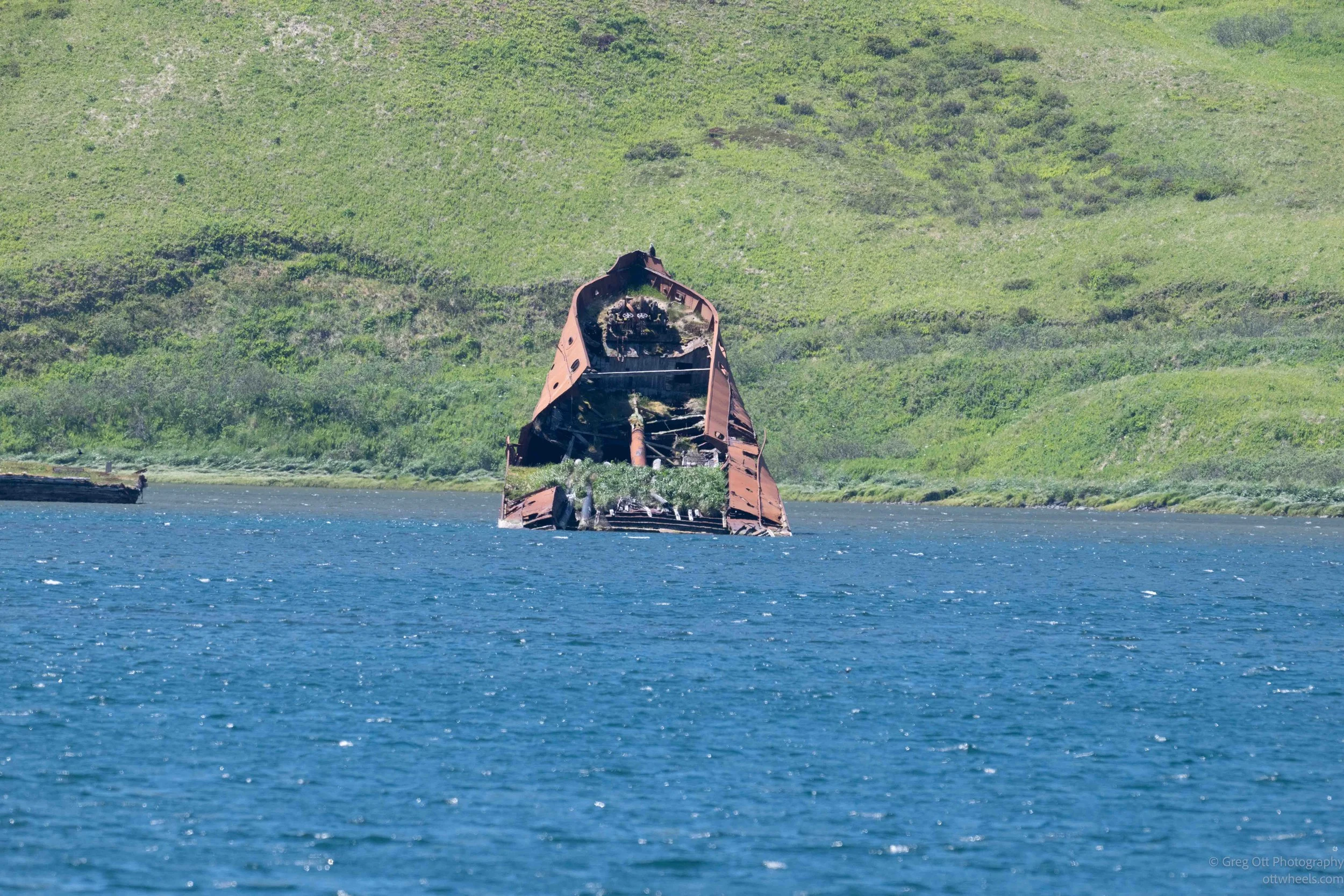 NZ8_6951.jpg