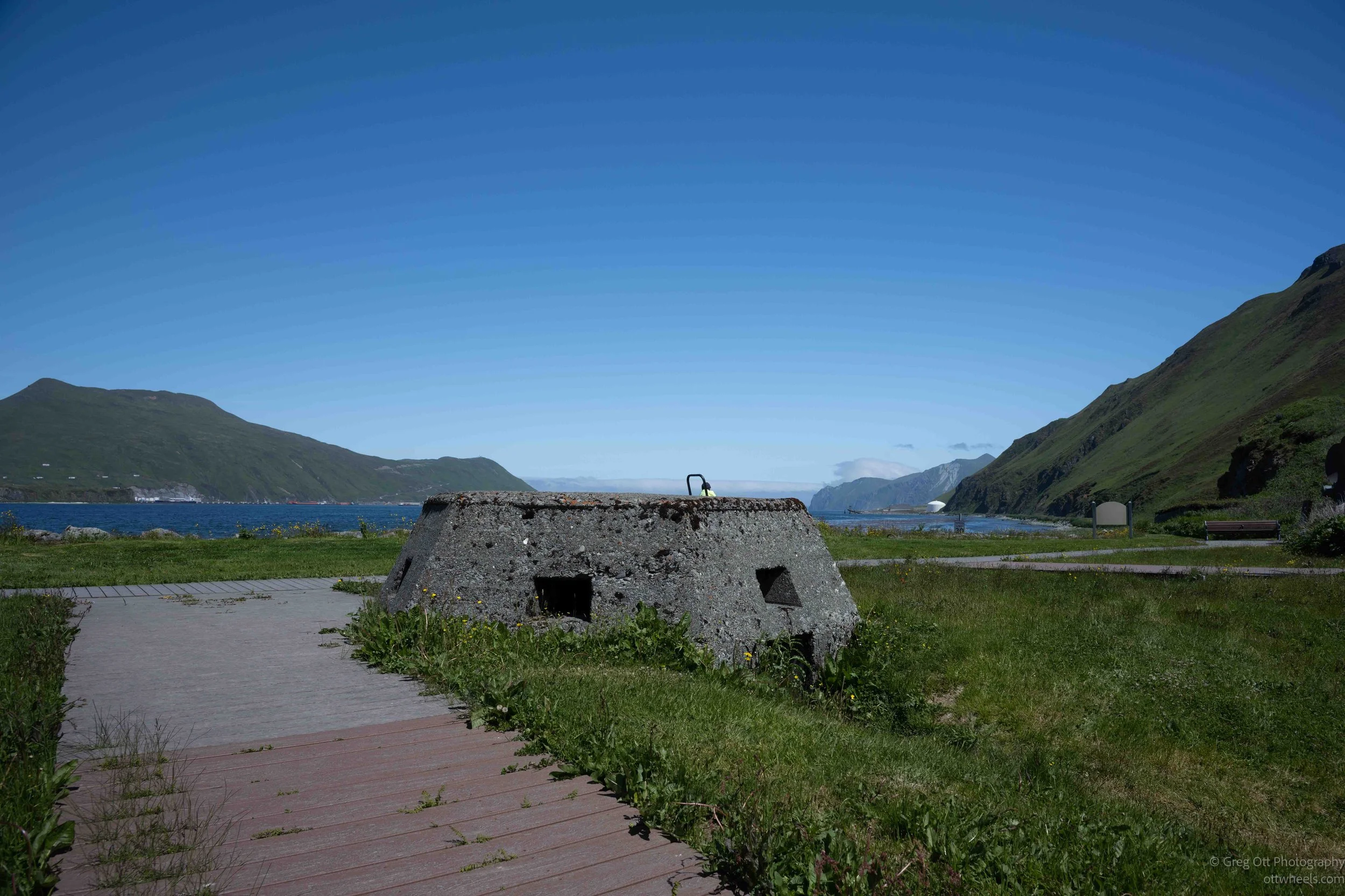 _NZ74130.jpg