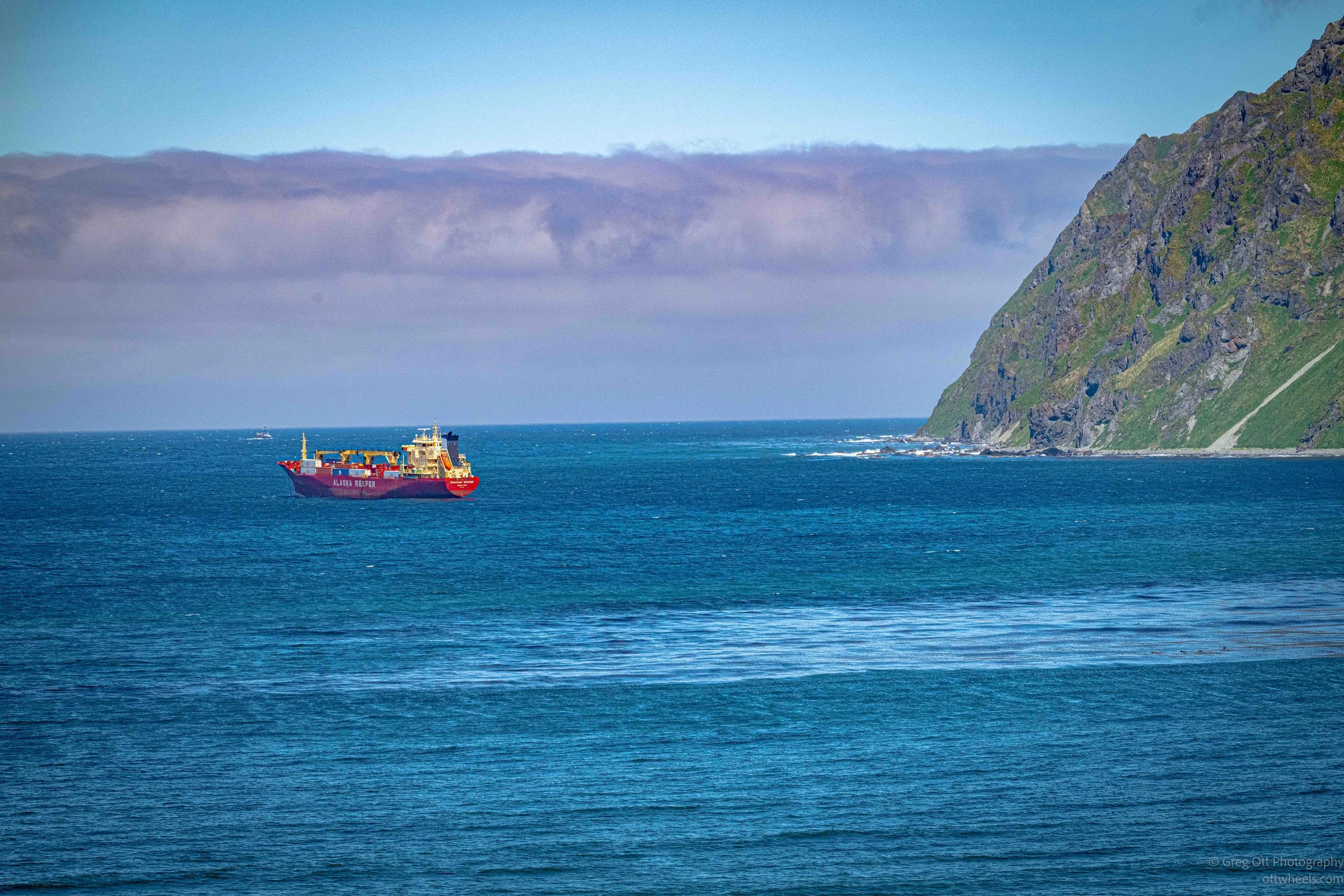 NZ8_6854.jpg