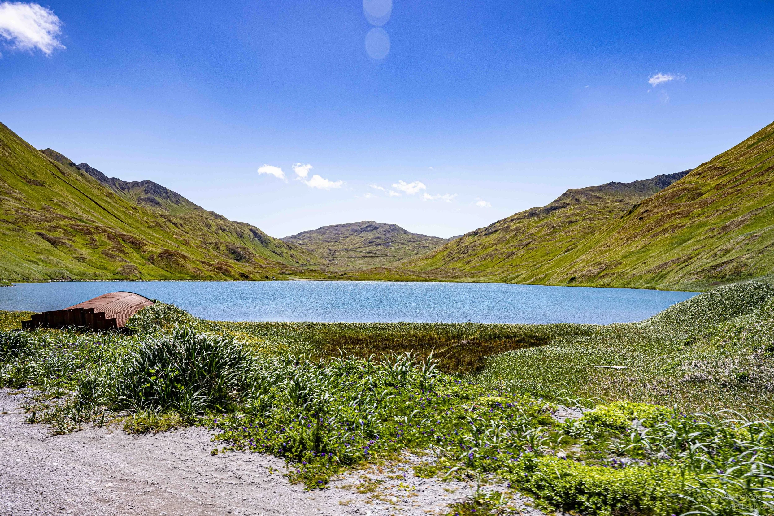 _NZ74140.jpg