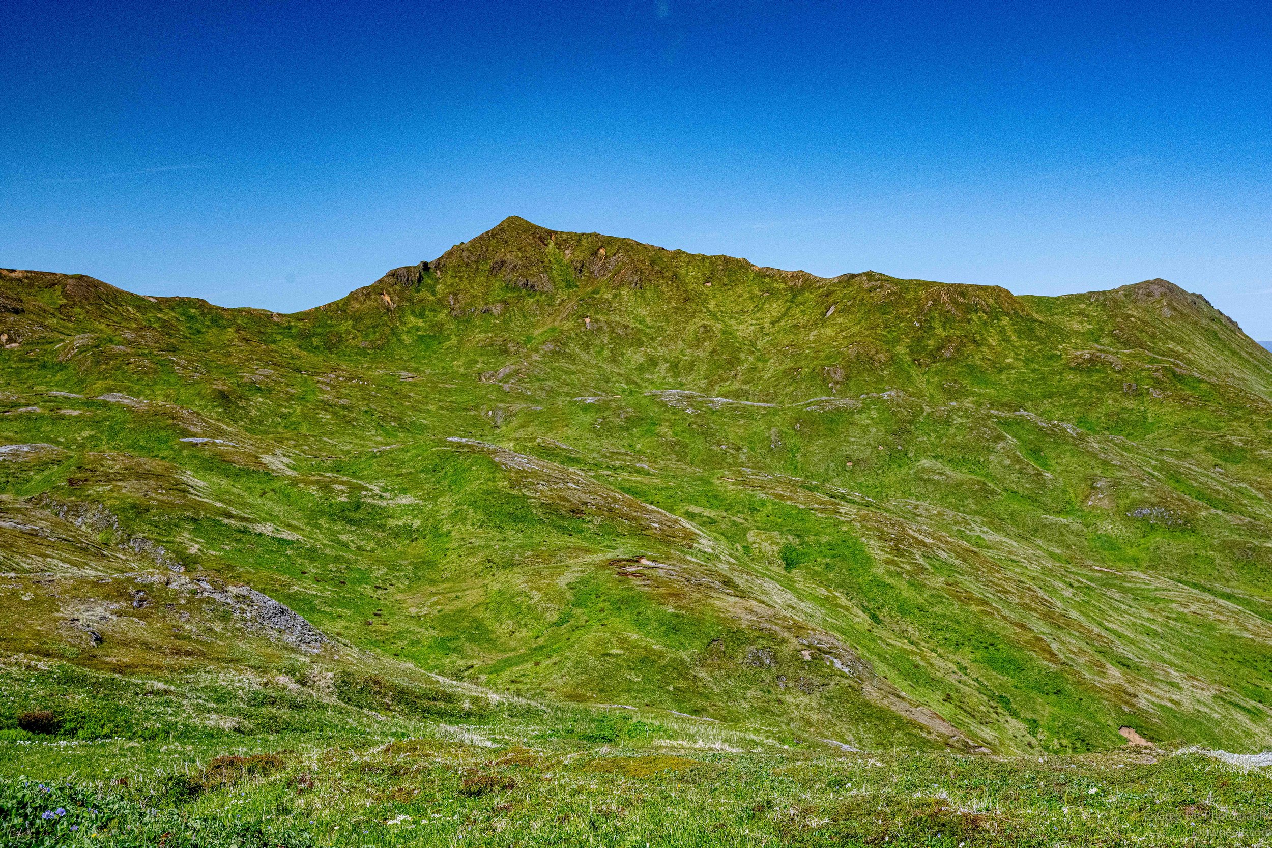 NZ8_6858.jpg
