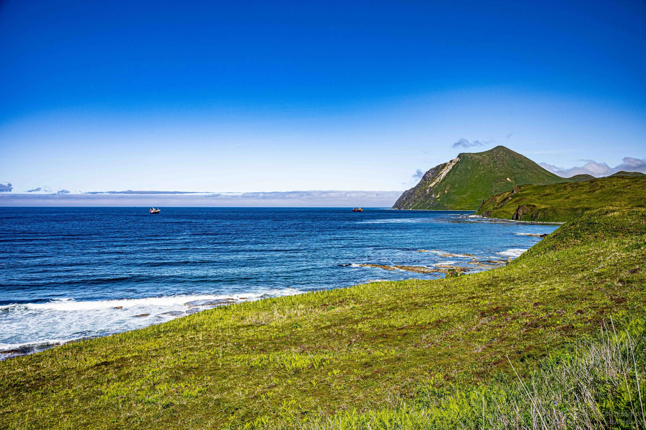 _NZ74146.jpg
