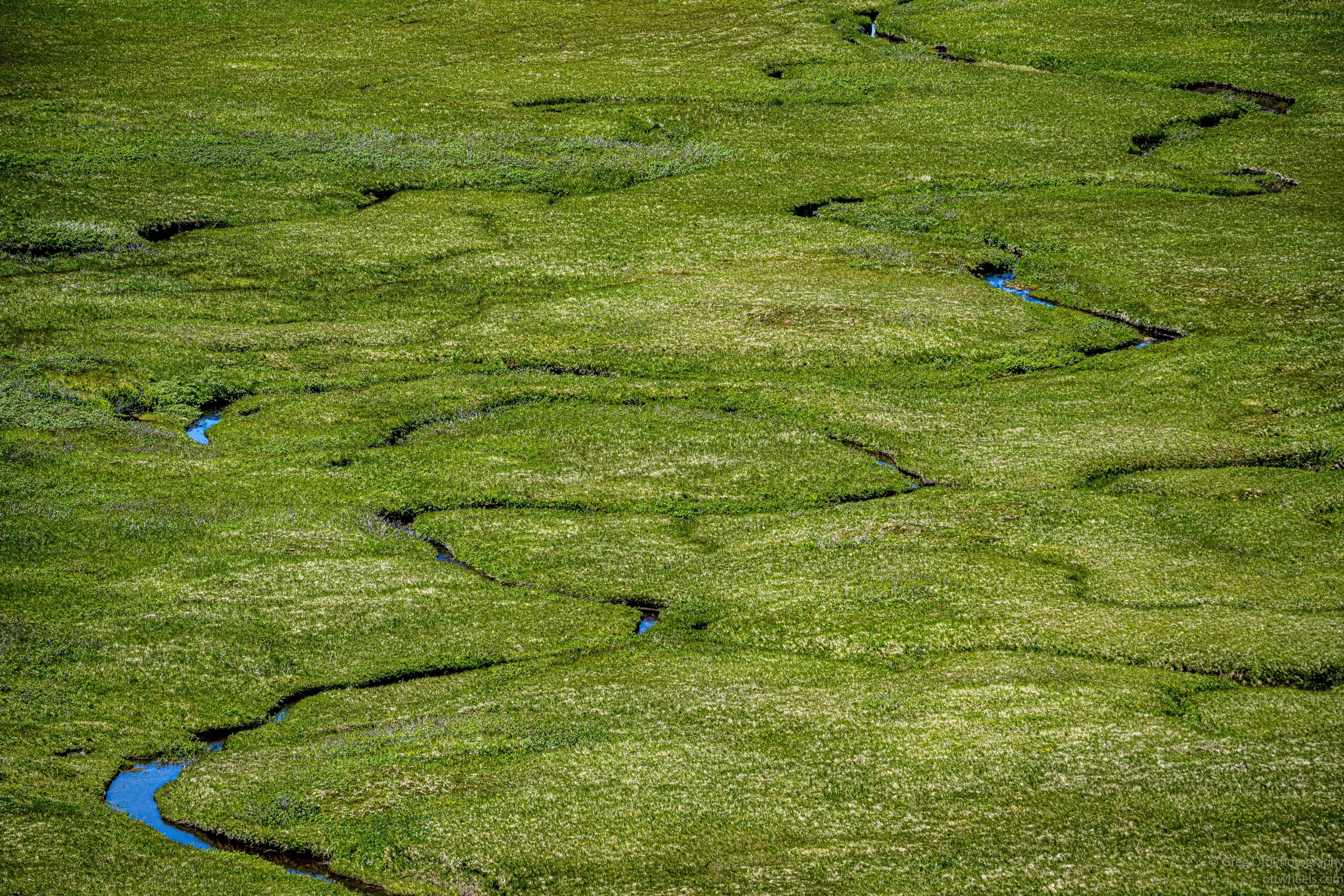_NZ74166.jpg