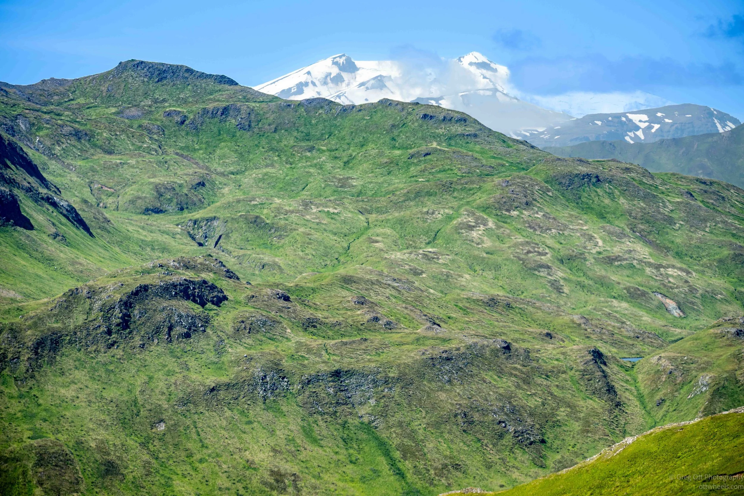 _NZ74164.jpg