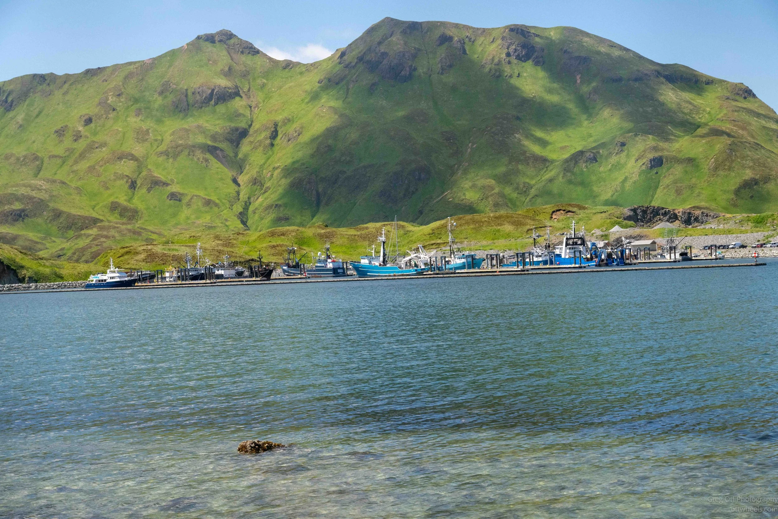 NZ8_6873.jpg