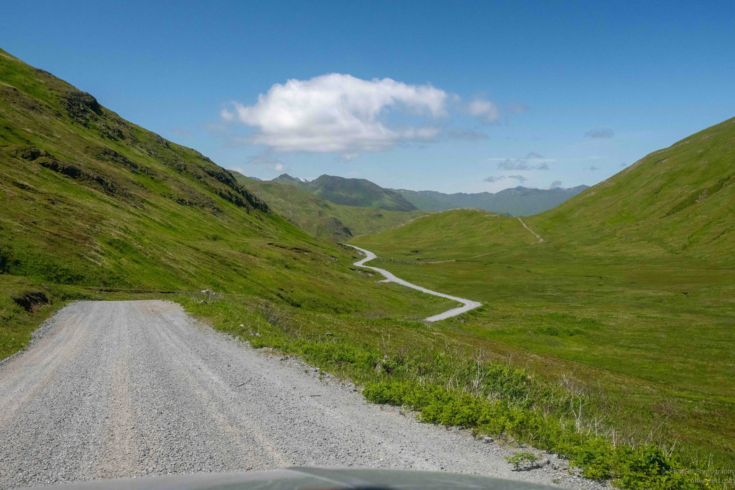NZ8_6864.jpg