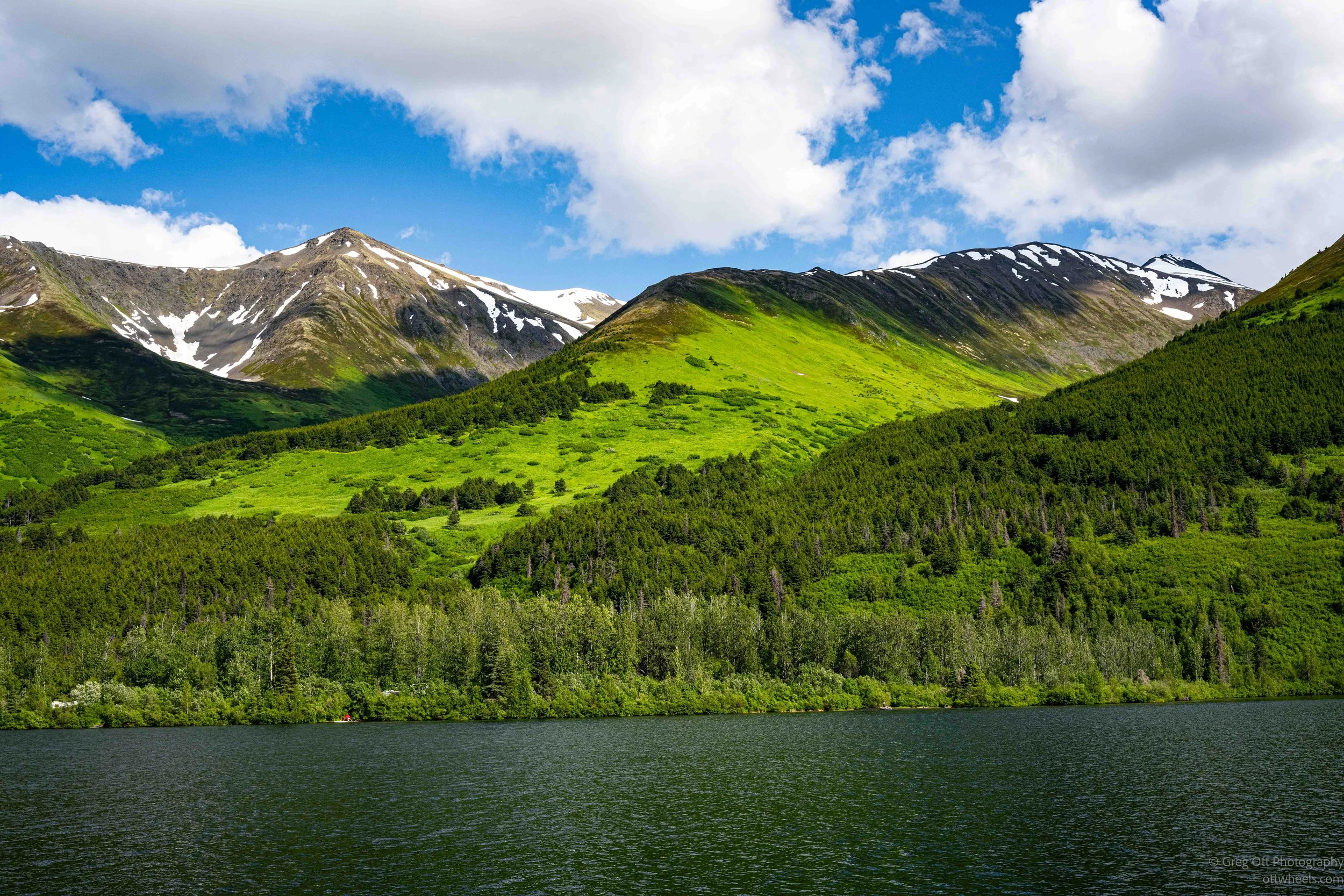 _NZ74188.jpg