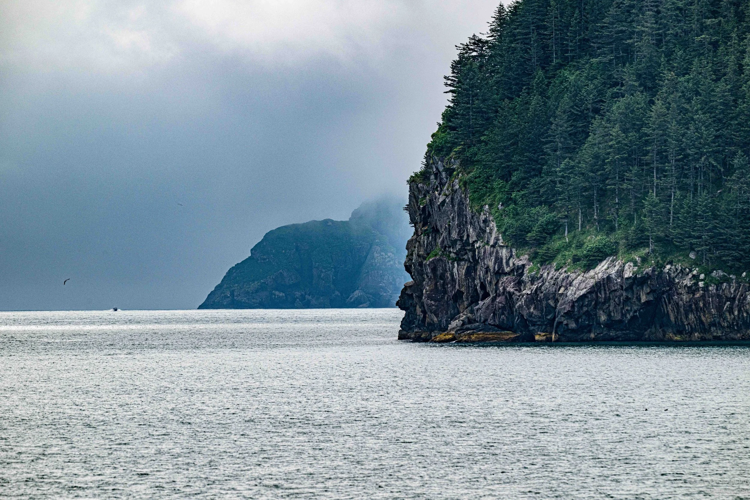 NZ8_7110.jpg
