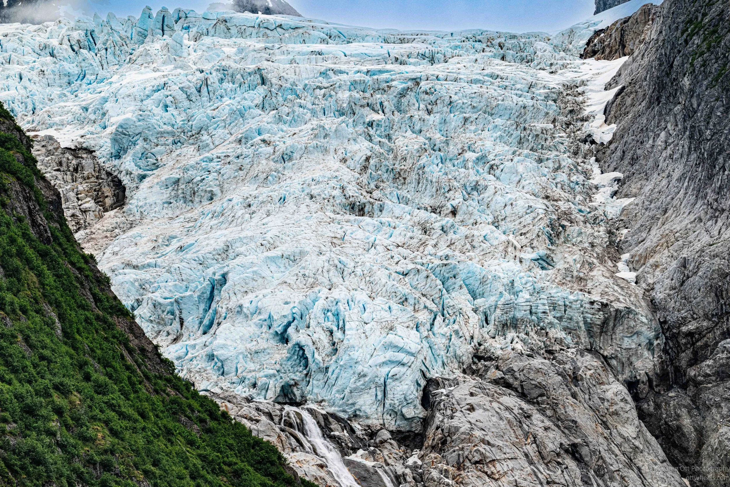 NZ8_7293.jpg
