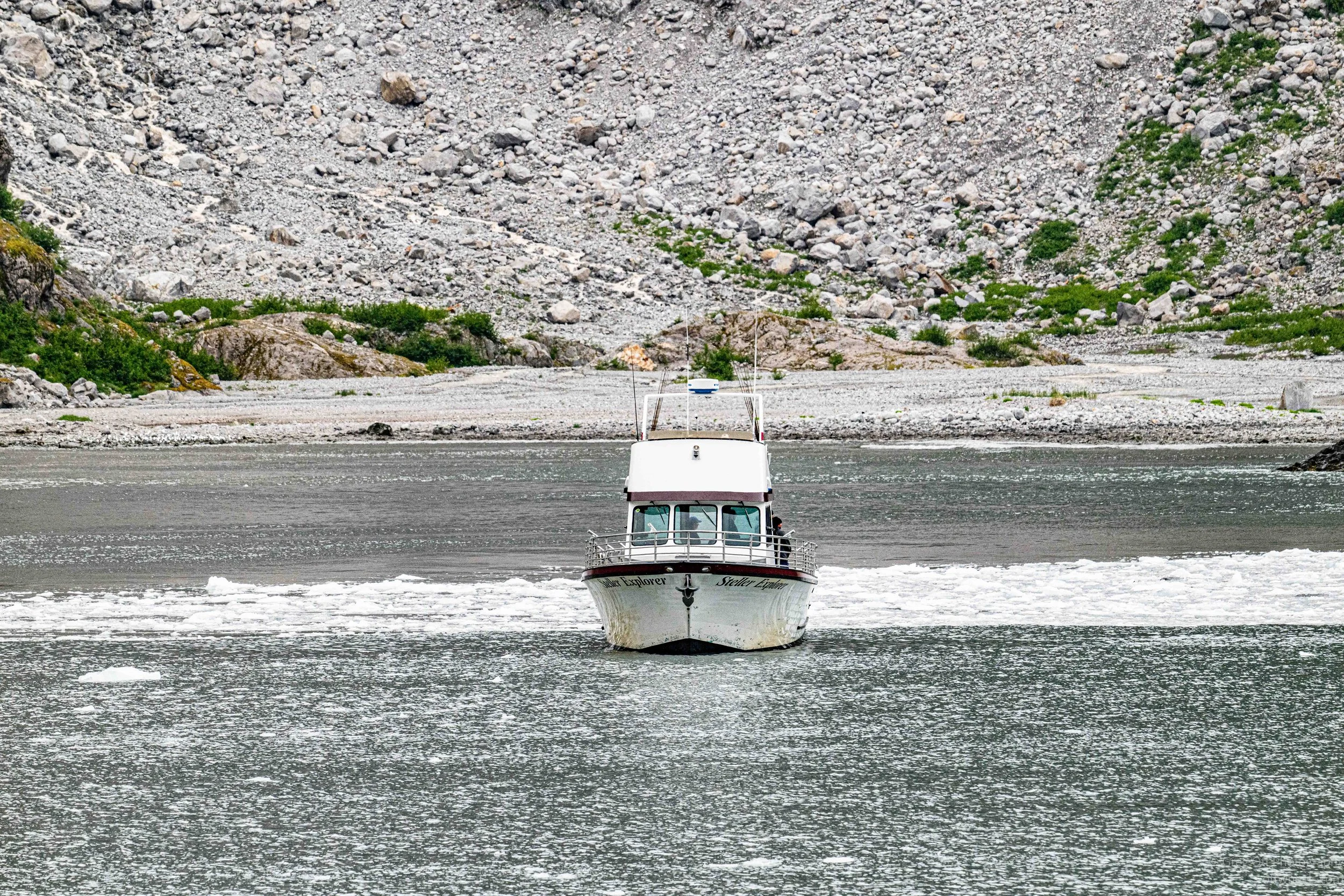 NZ8_7295.jpg