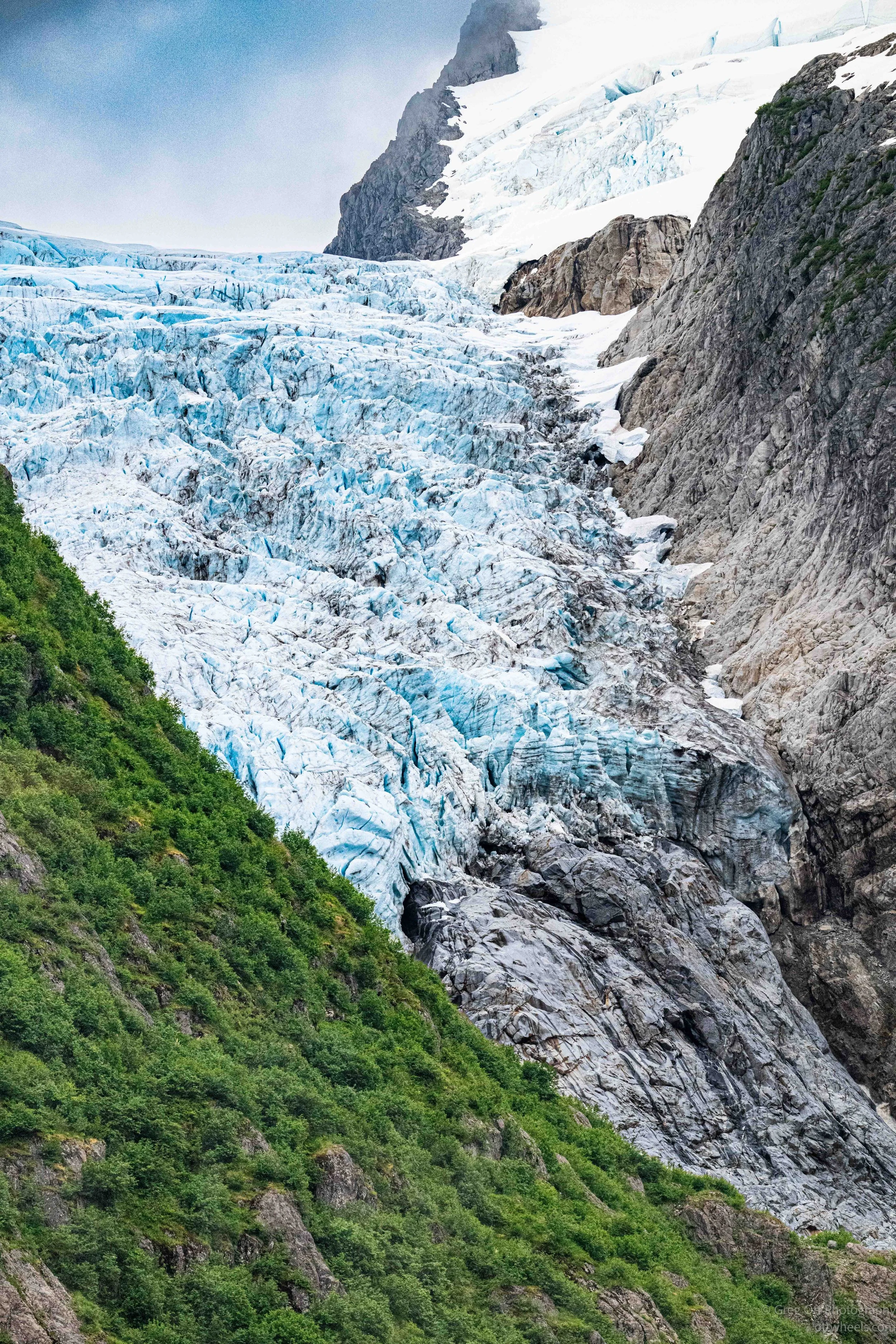 NZ8_7289.jpg