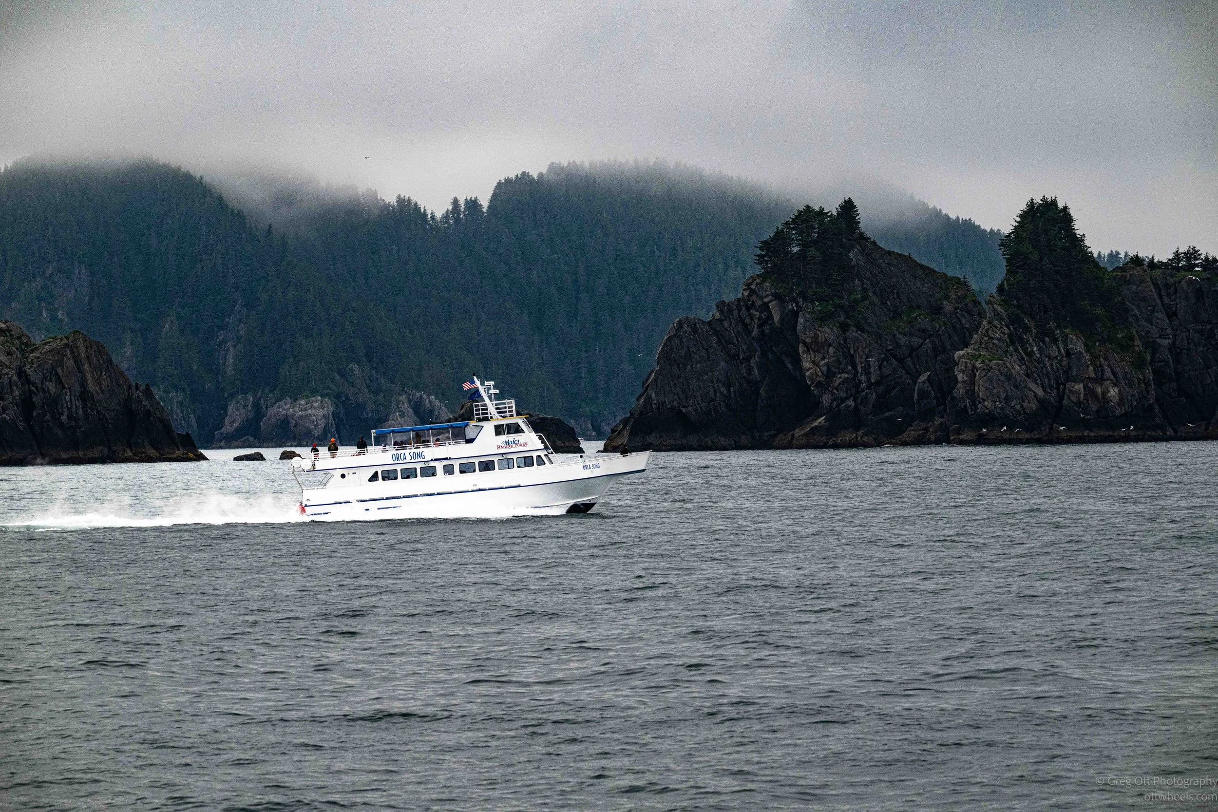 NZ8_7537.jpg