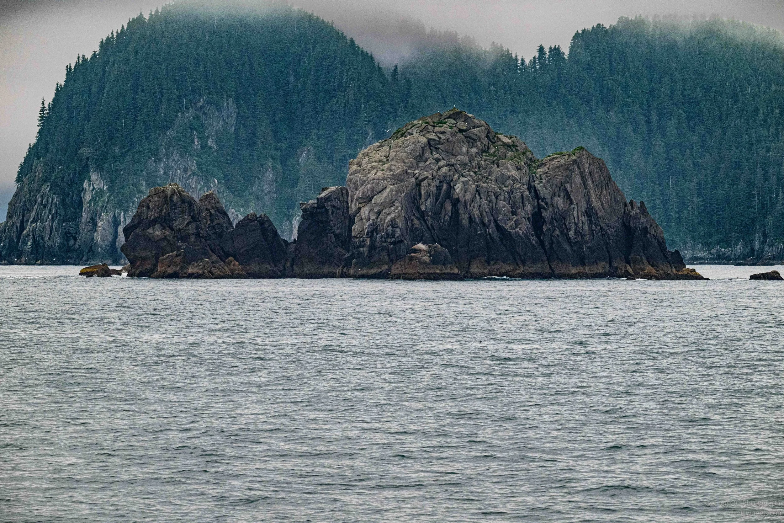 NZ8_7532.jpg