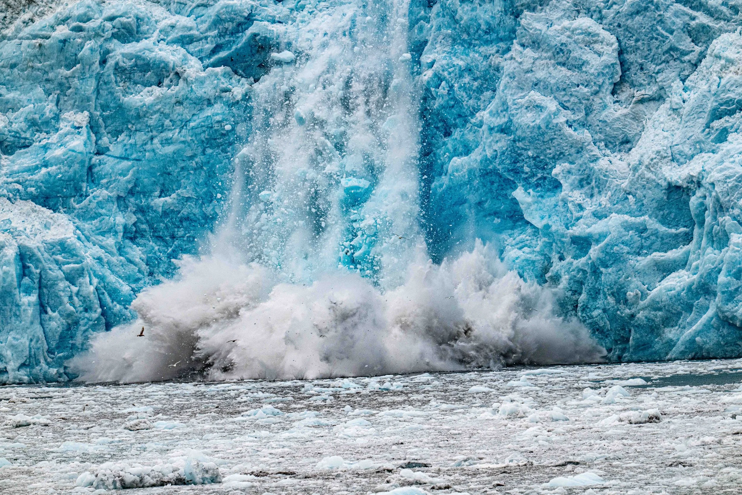 NZ8_7363.jpg