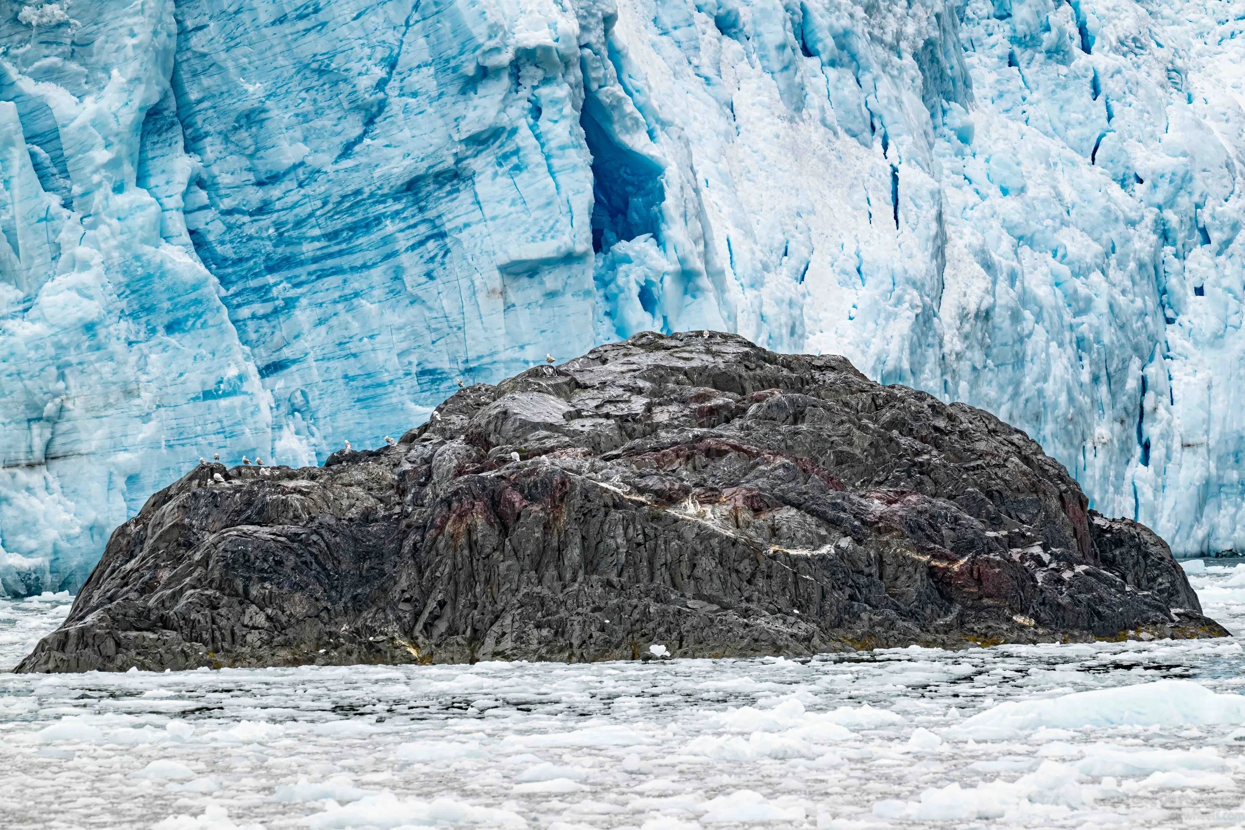 NZ8_7515-Edit.jpg