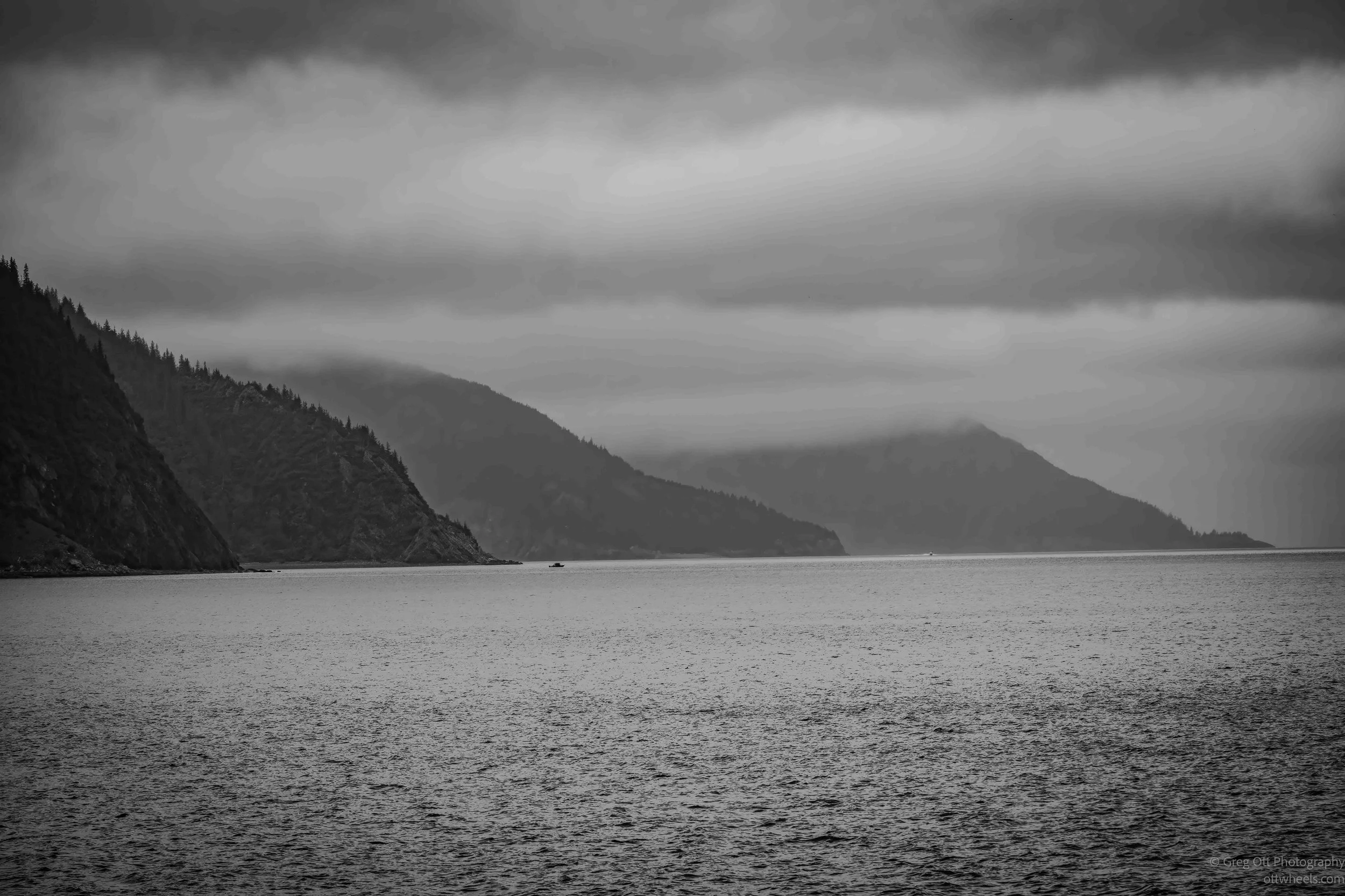 NZ8_8339-Edit.jpg
