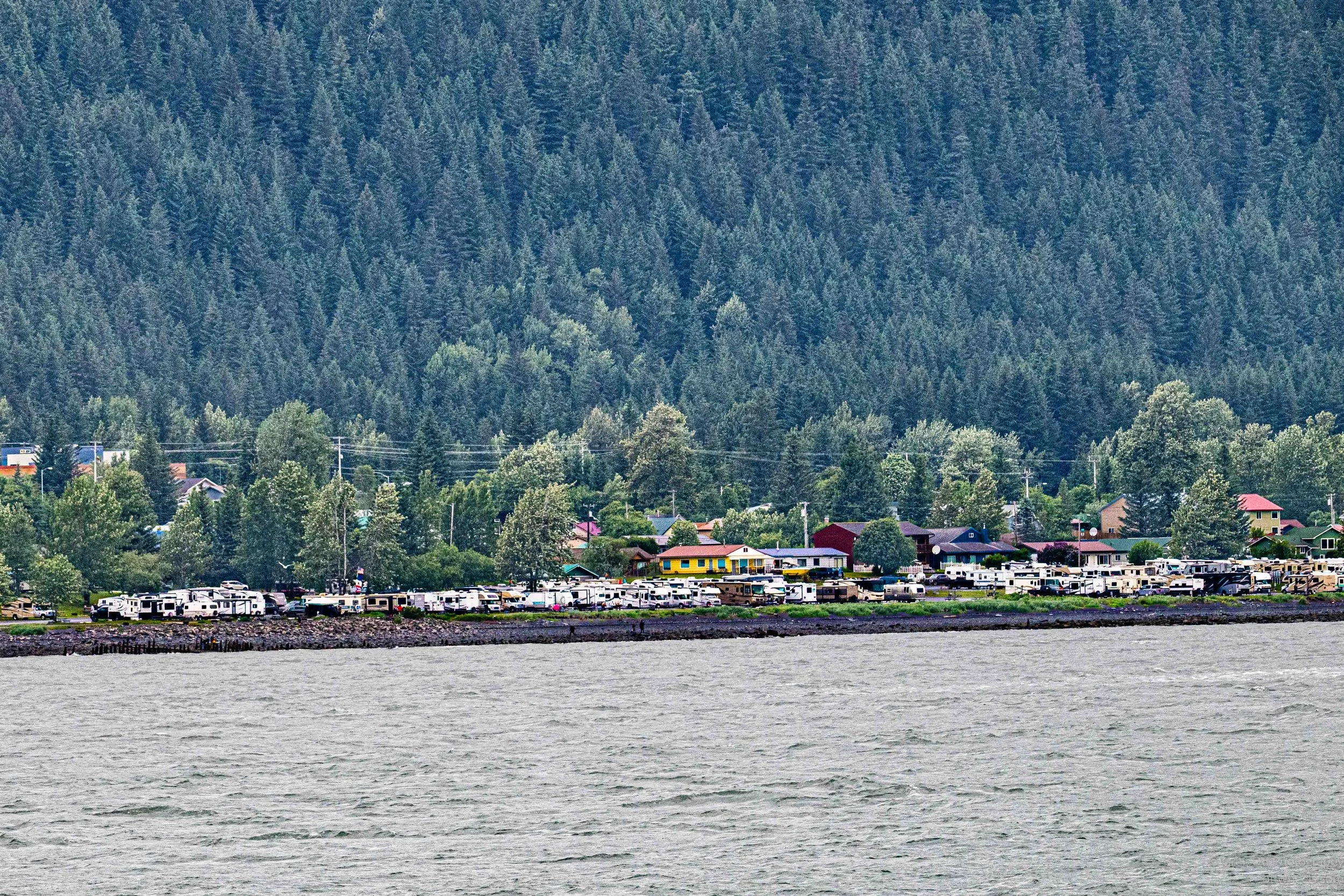 NZ8_8348.jpg