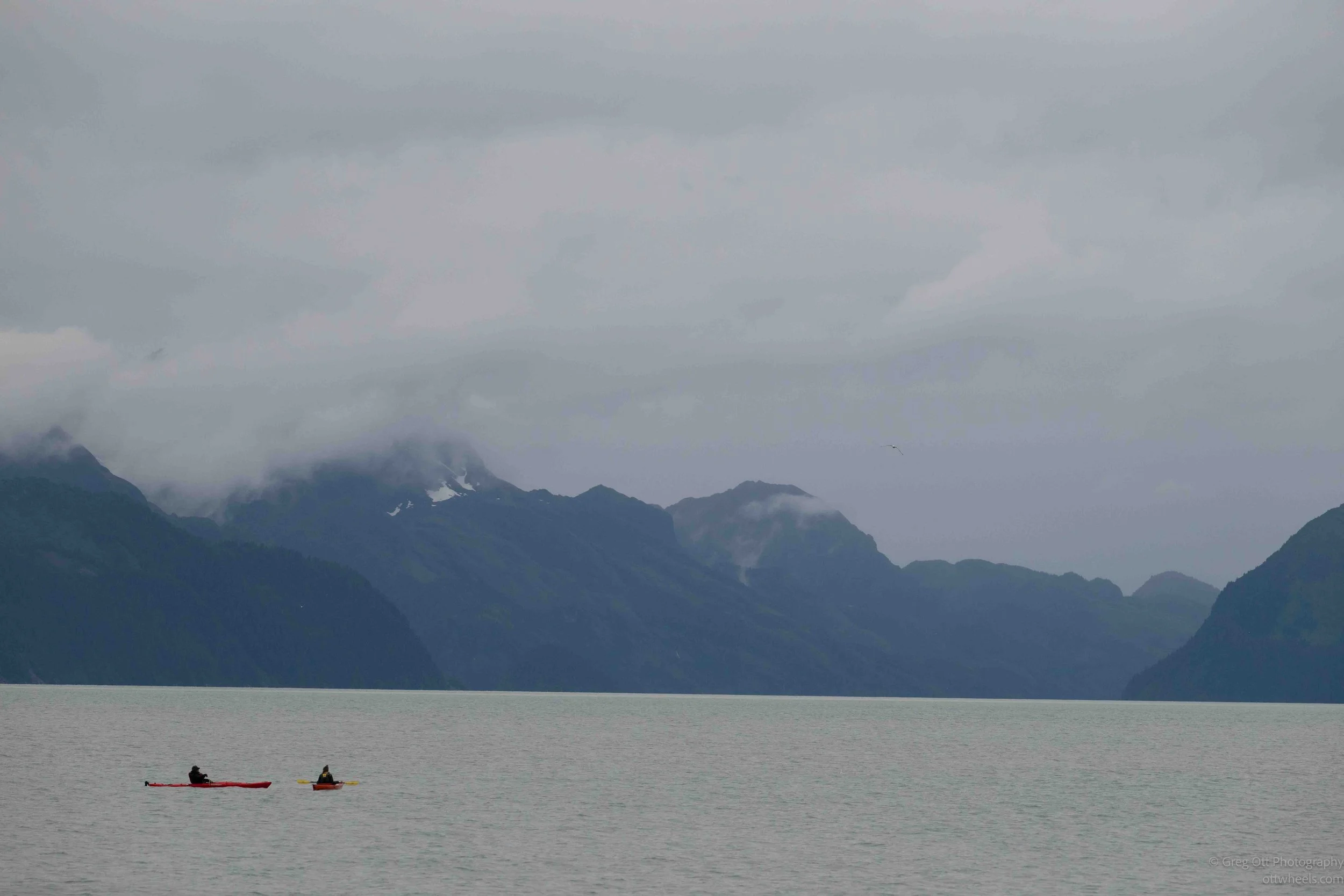 _NZ88359.jpg