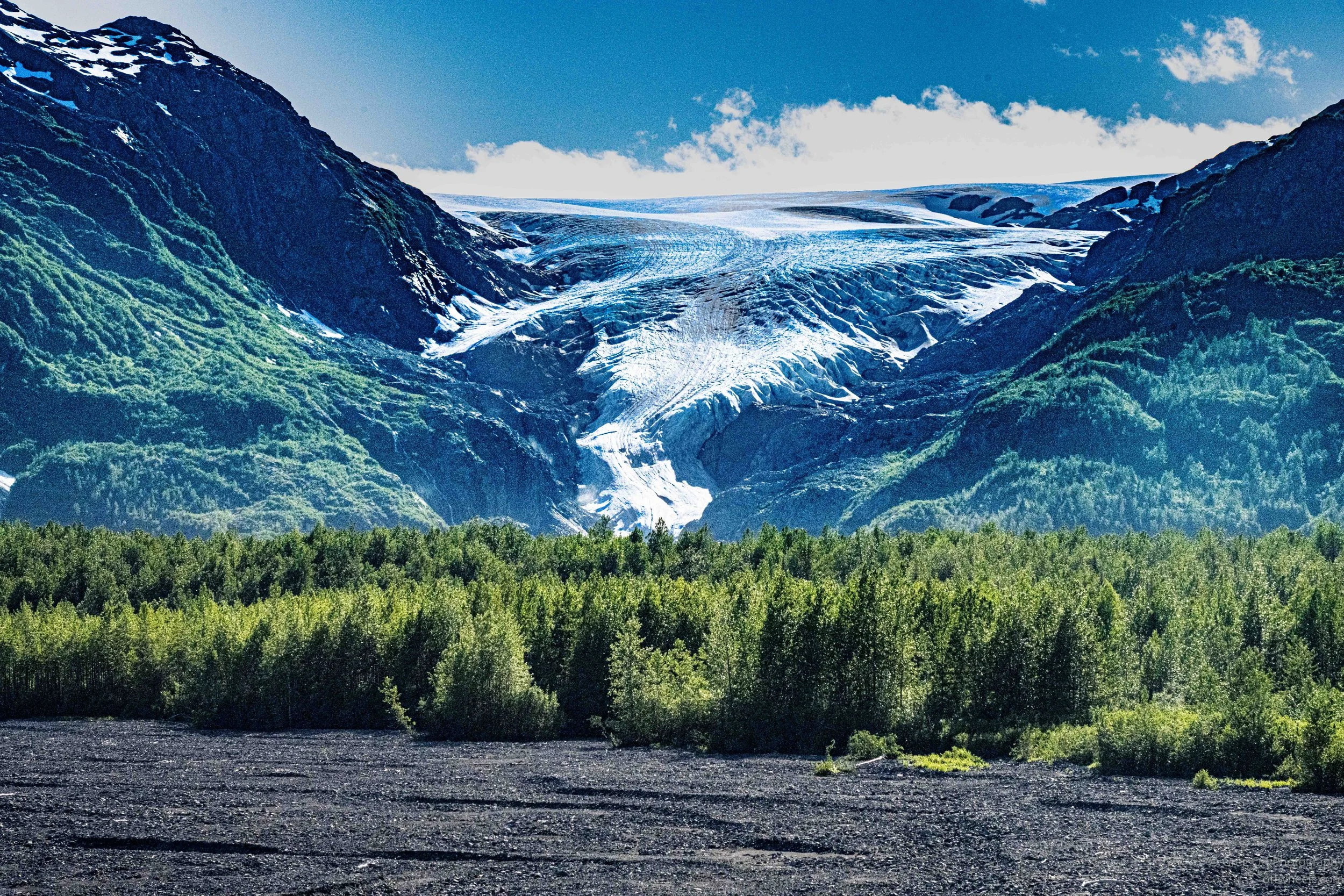 _NZ74263.jpg