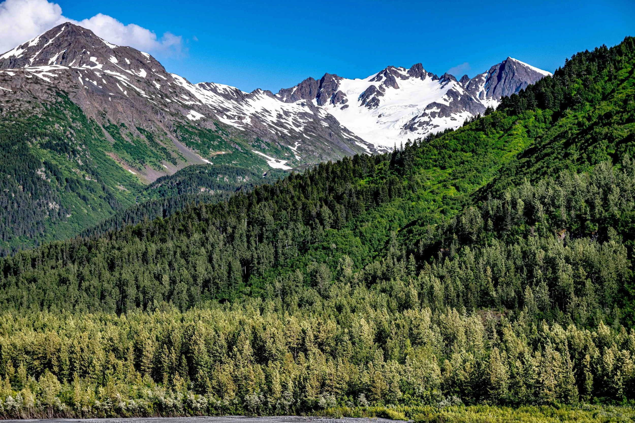 _NZ88460.jpg