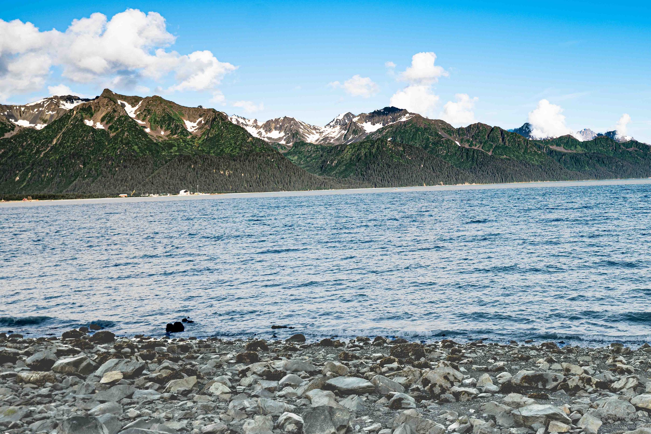_NZ88478.jpg