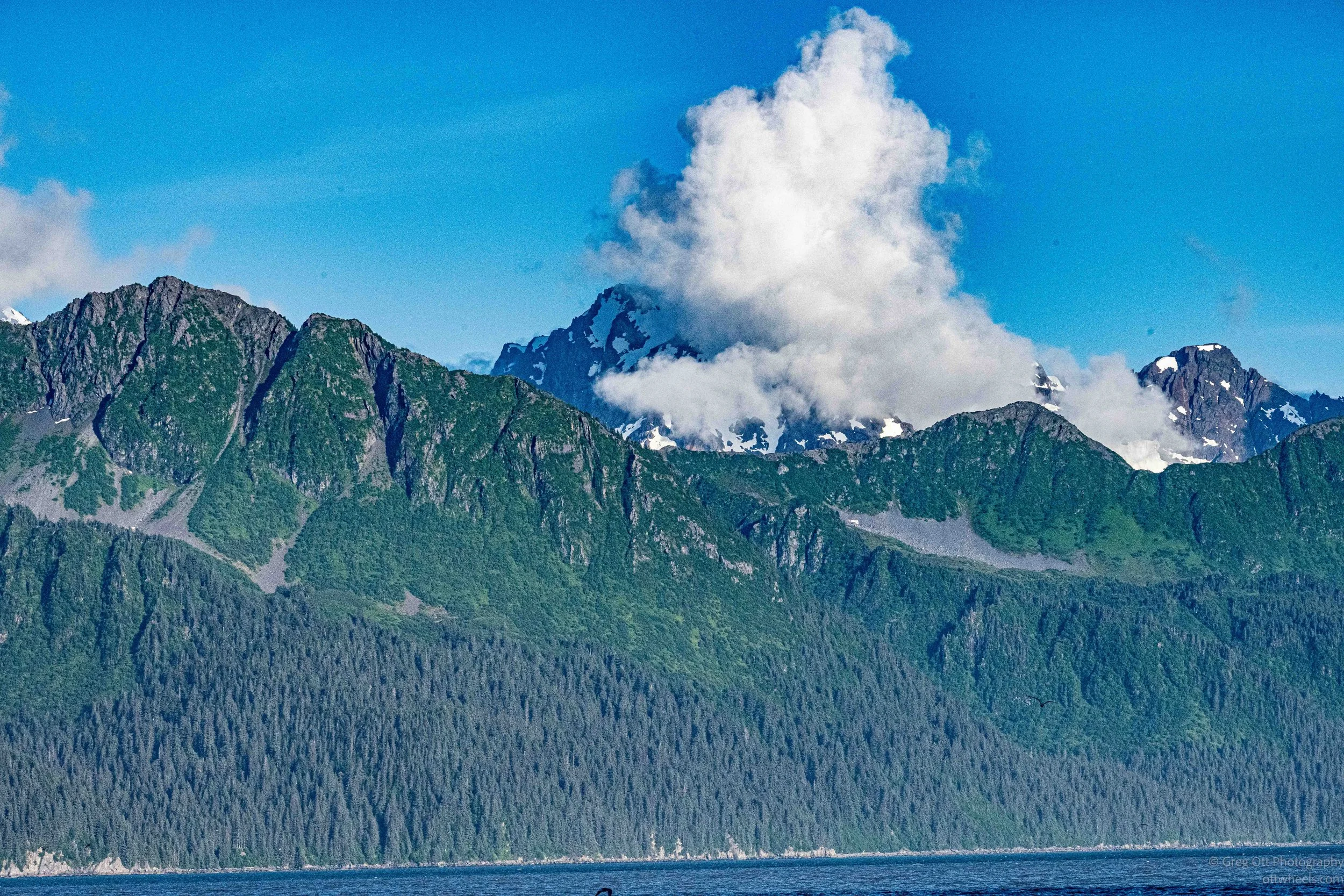 _NZ74266.jpg