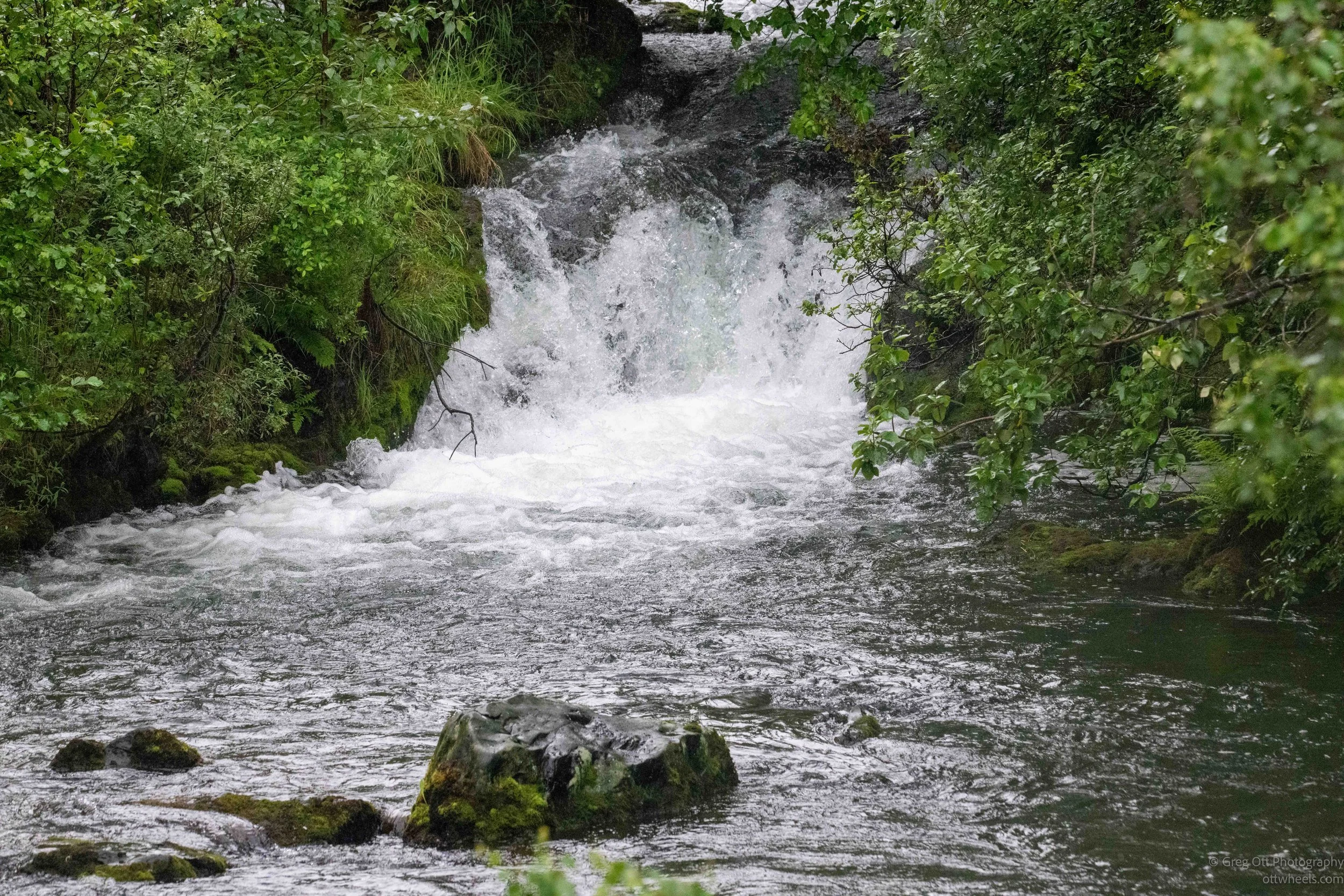 NZ8_8845.jpg
