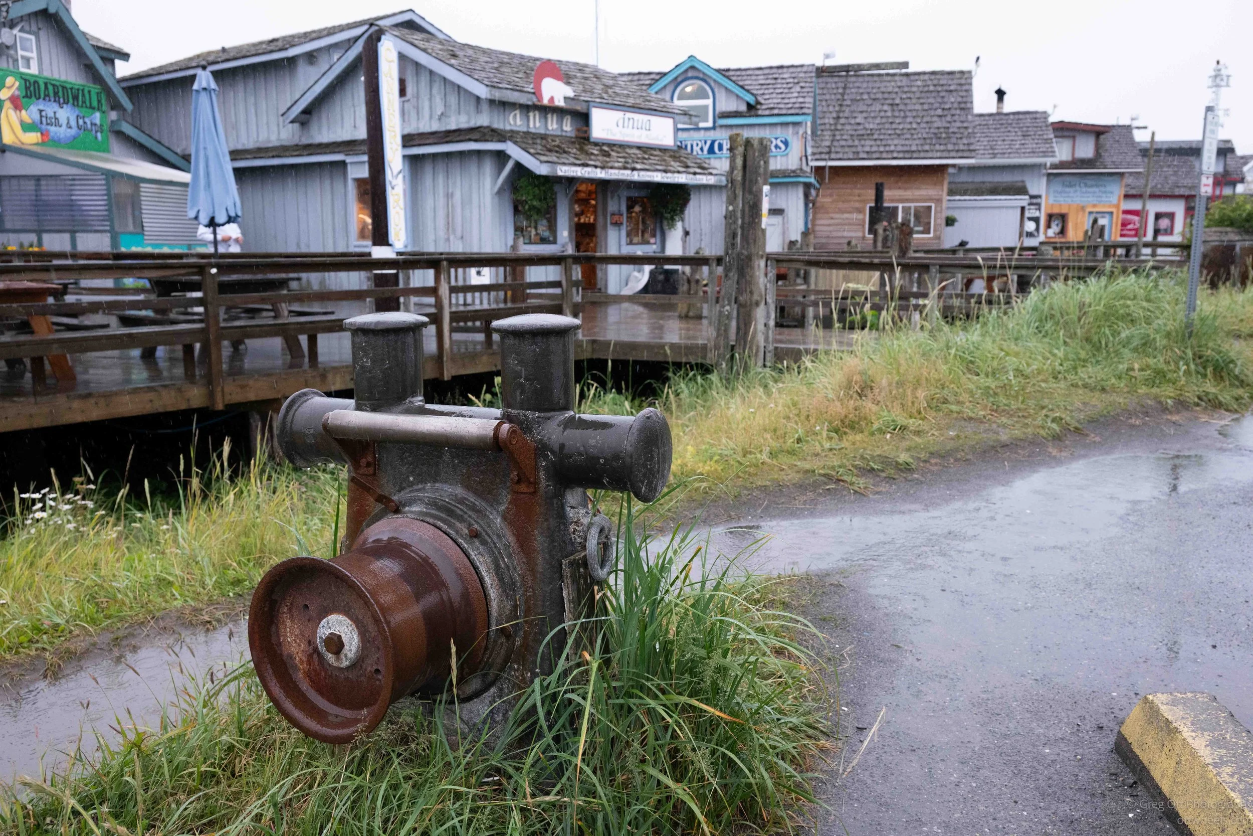 _NZ88918.jpg