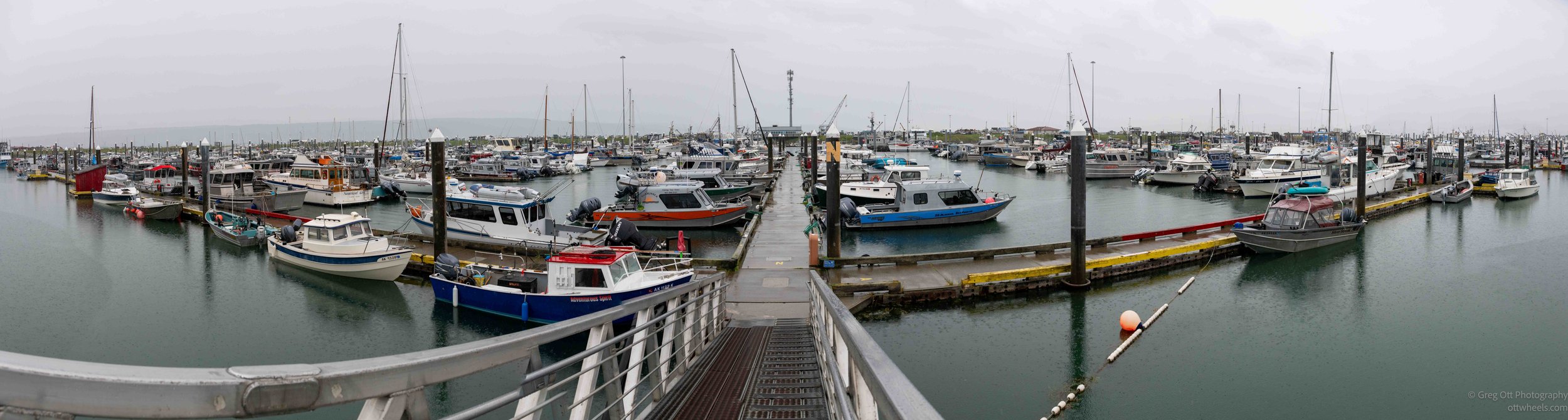 _NZ88872-Pano.jpg