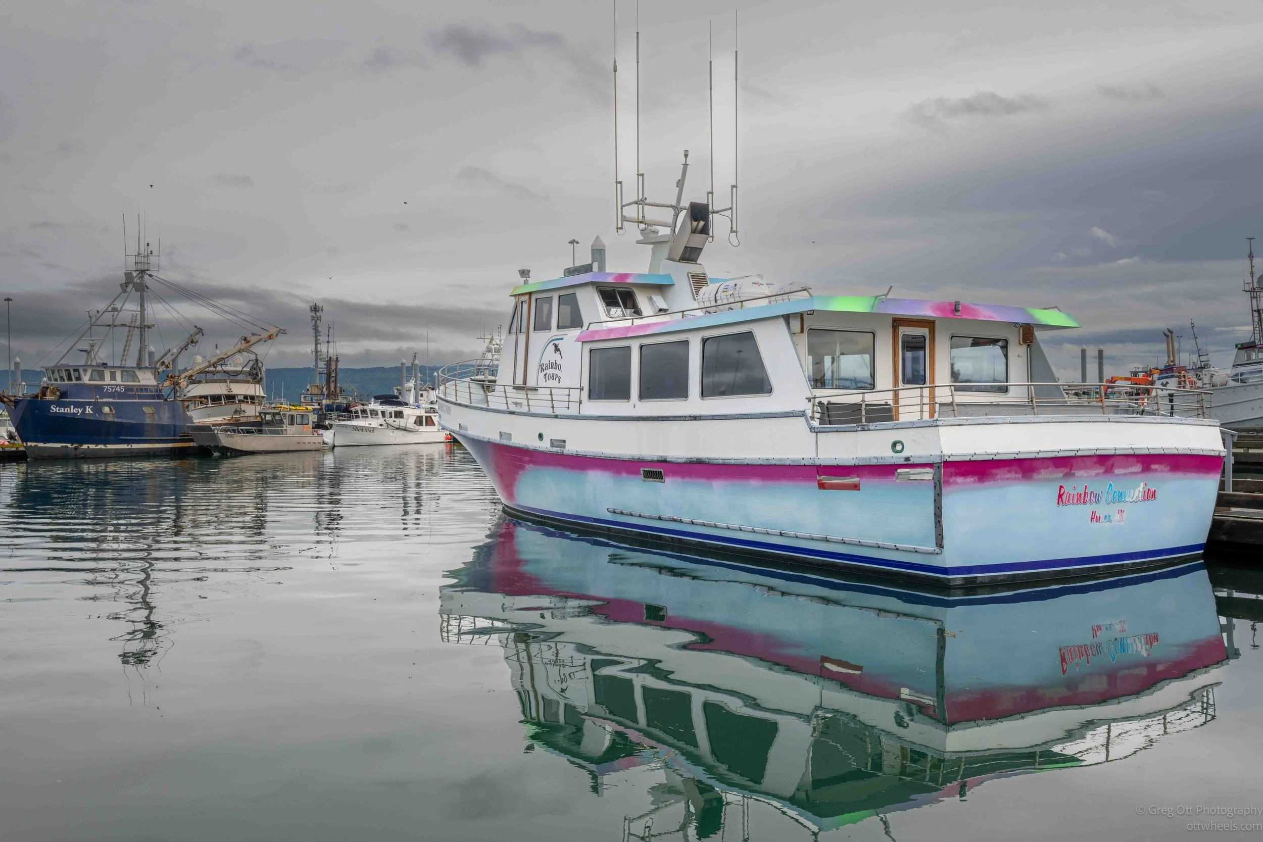 _NZ88931.jpg
