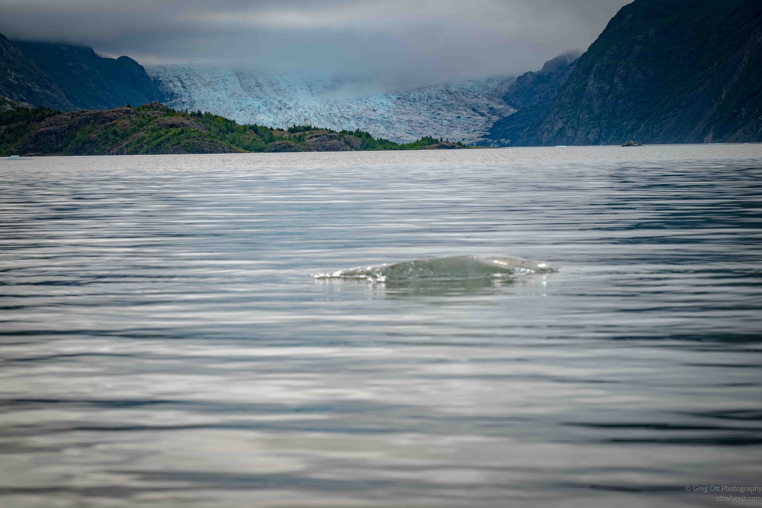_NZ88943.jpg