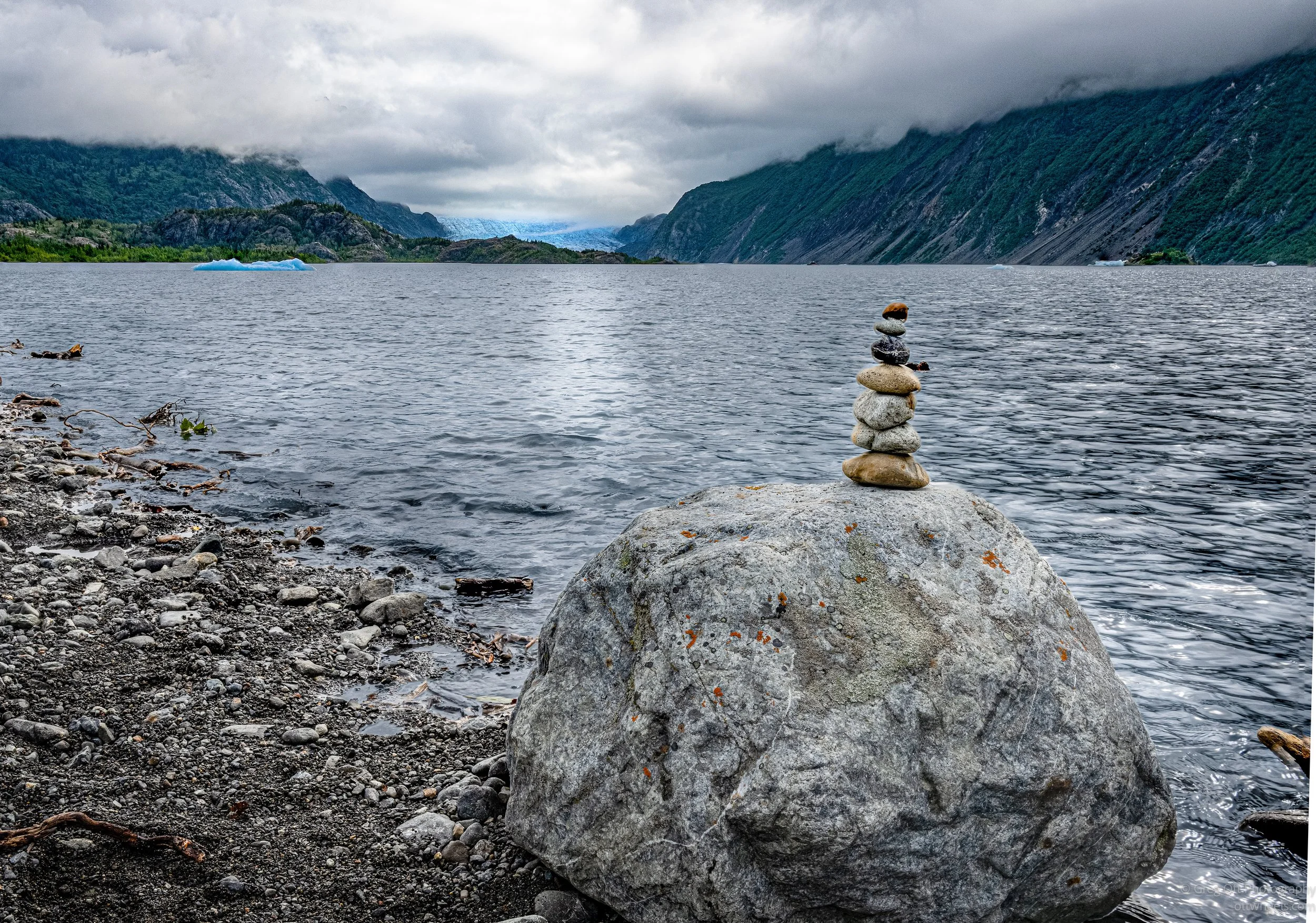 _NZ88959-Edit.jpg