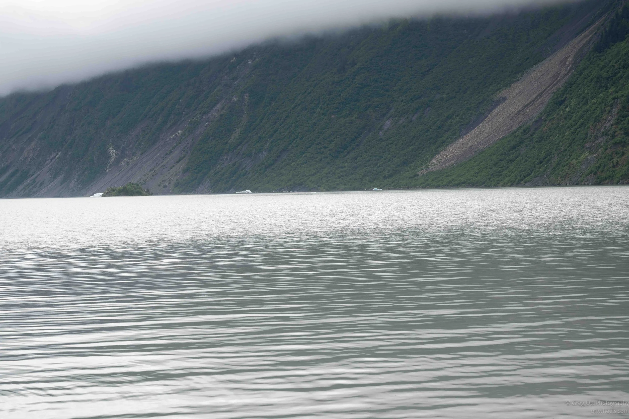 _NZ88949.jpg