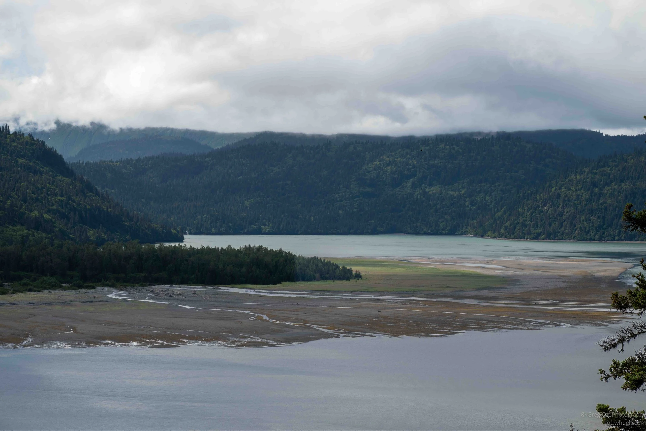 _NZ88981.jpg
