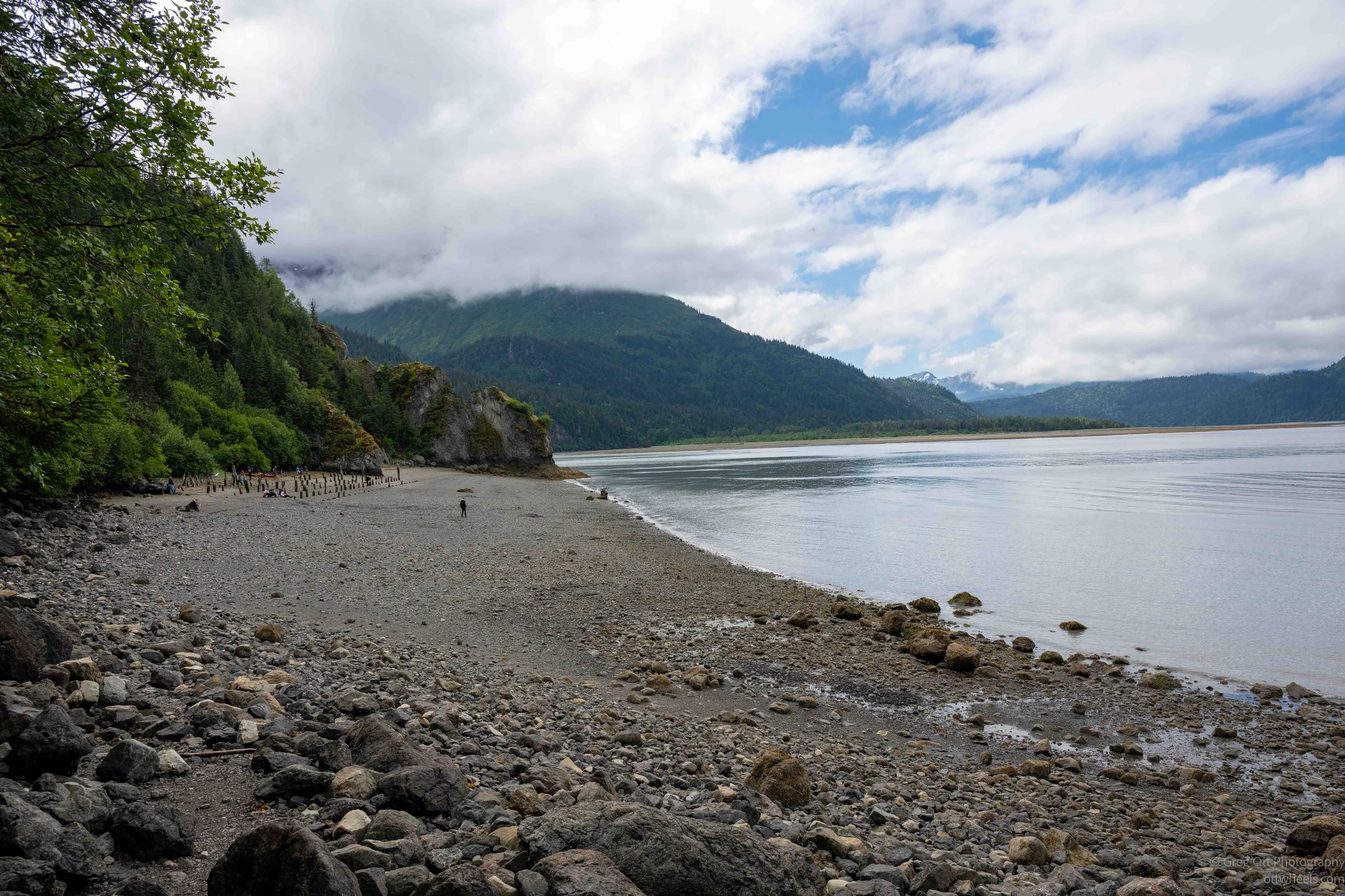 _NZ88999.jpg