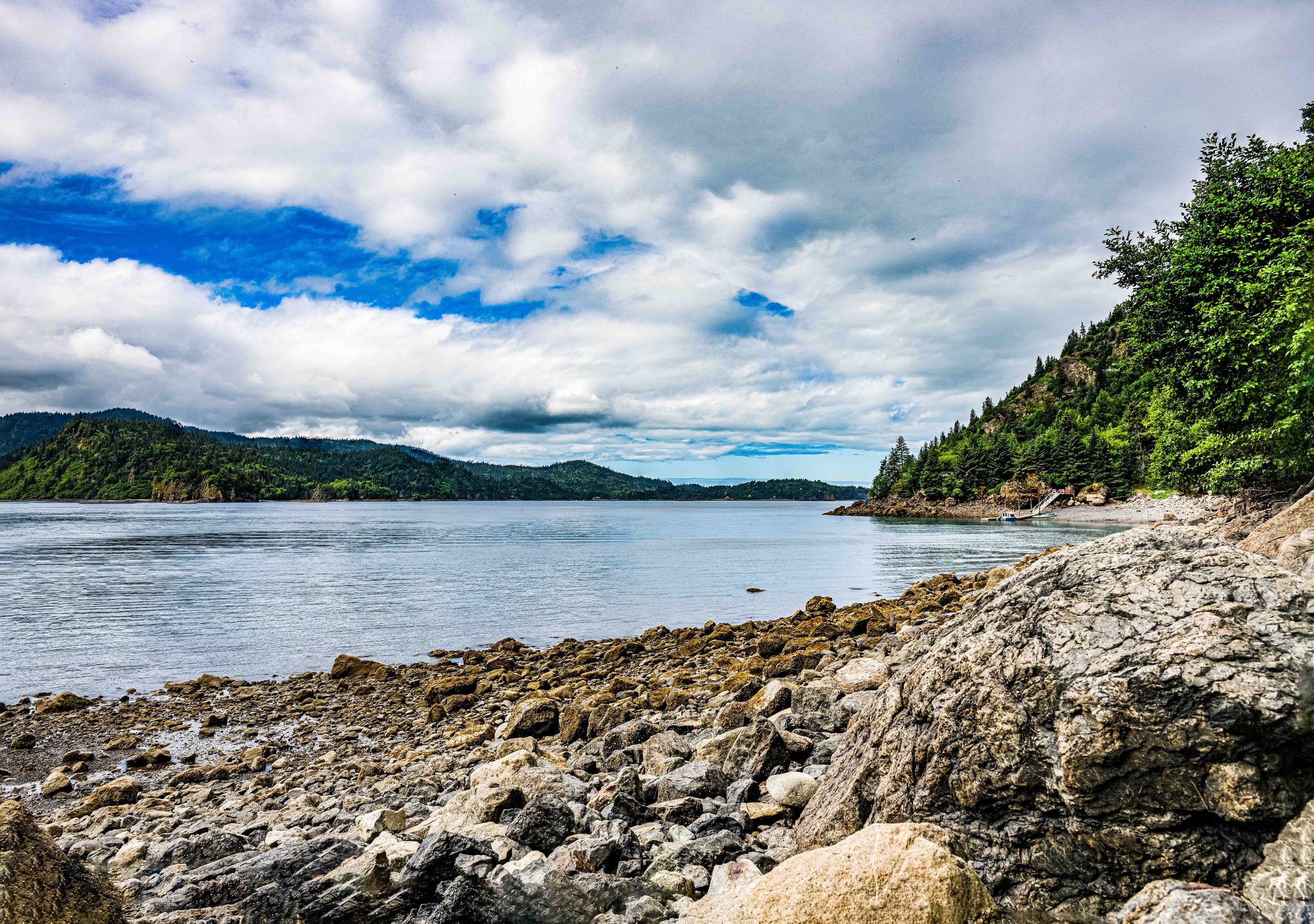 _NZ89002-Edit.jpg