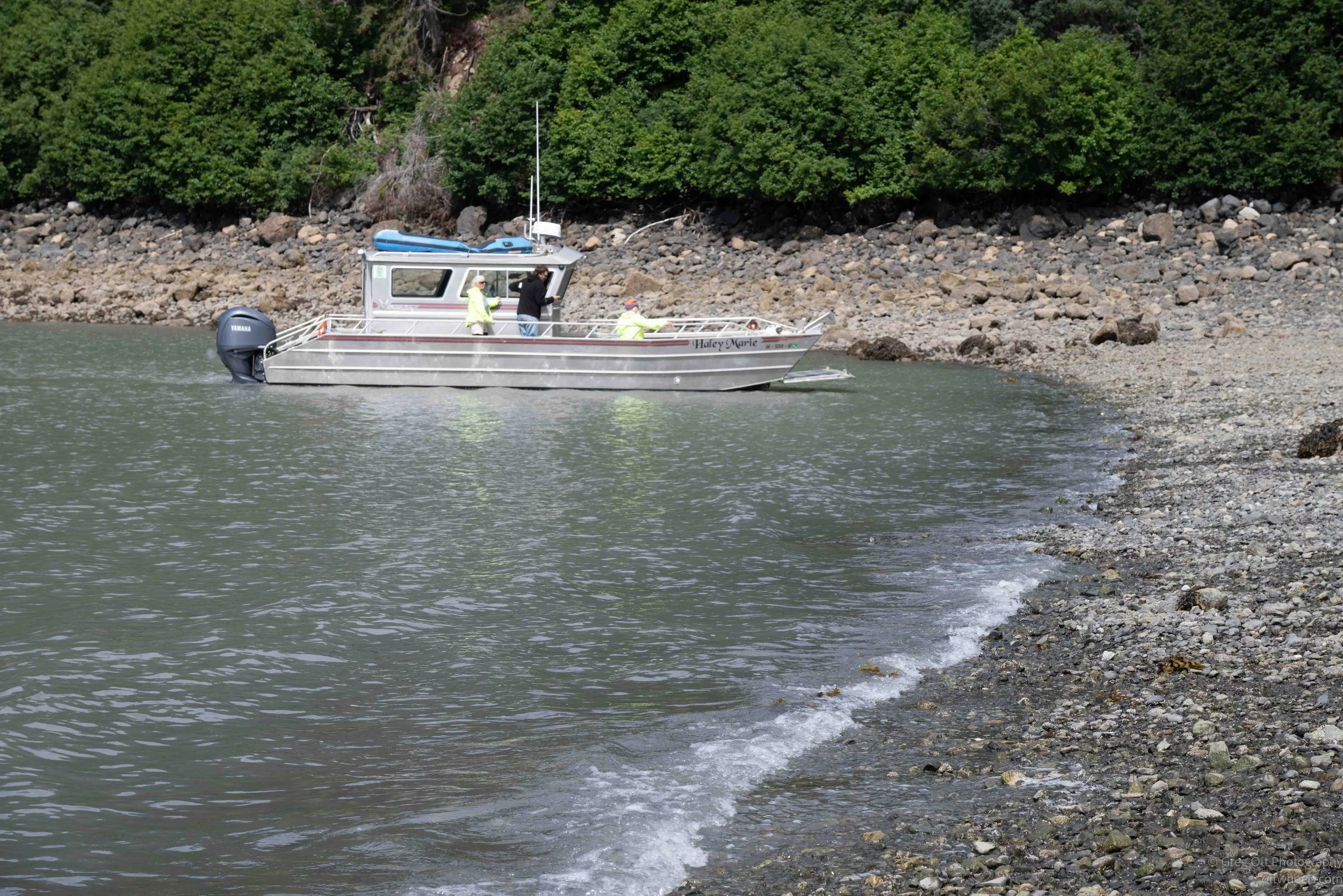 _NZ89043.jpg