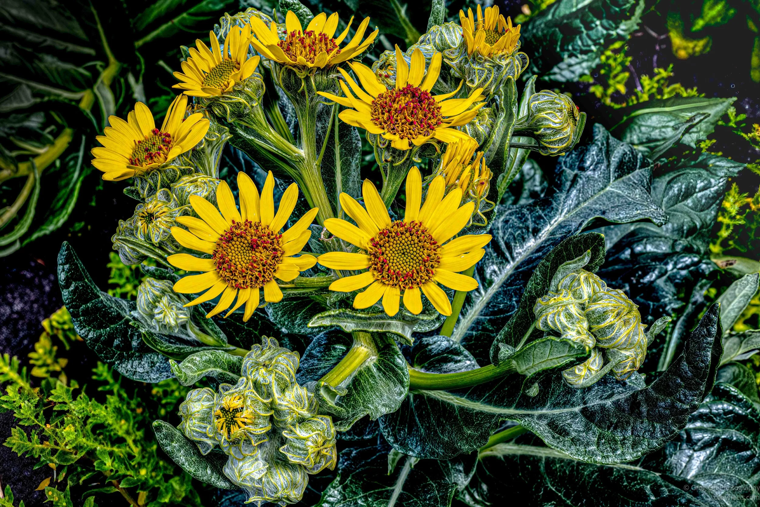 _NZ89060-Edit.jpg