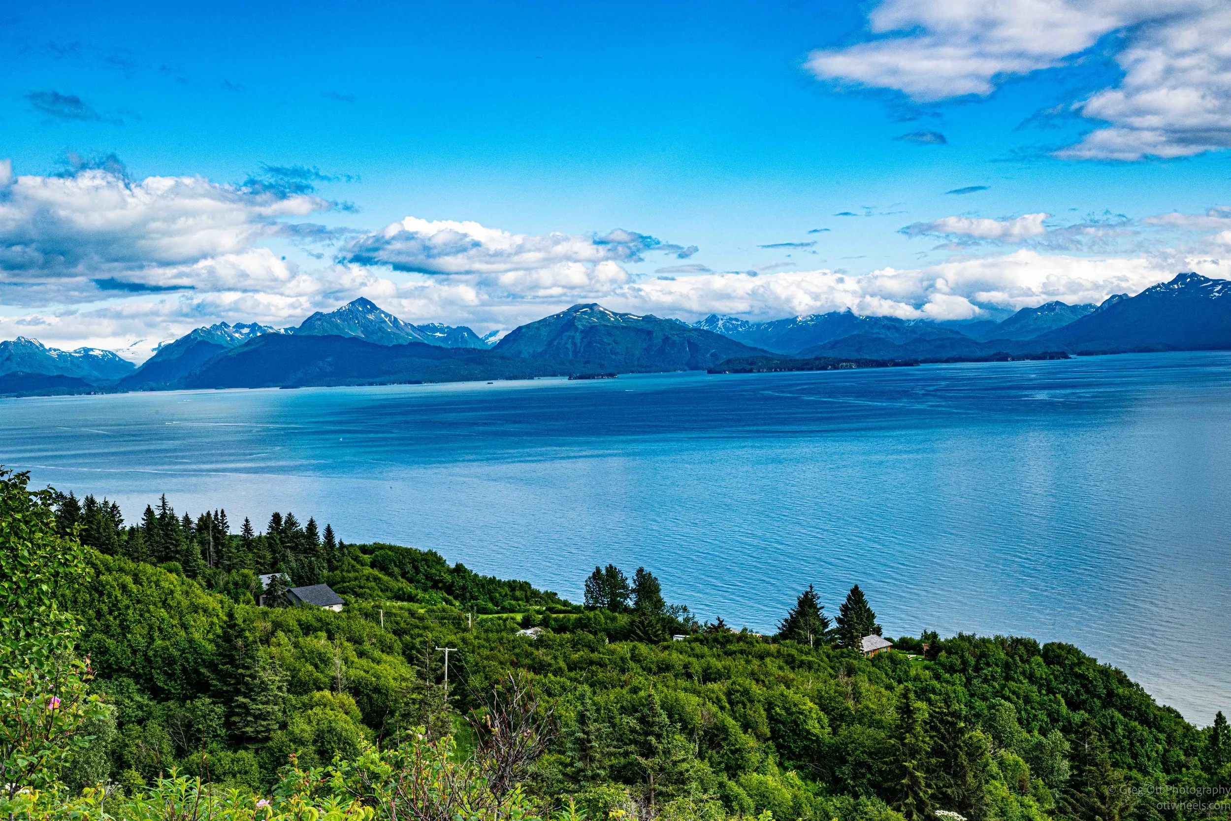 _NZ89075.jpg