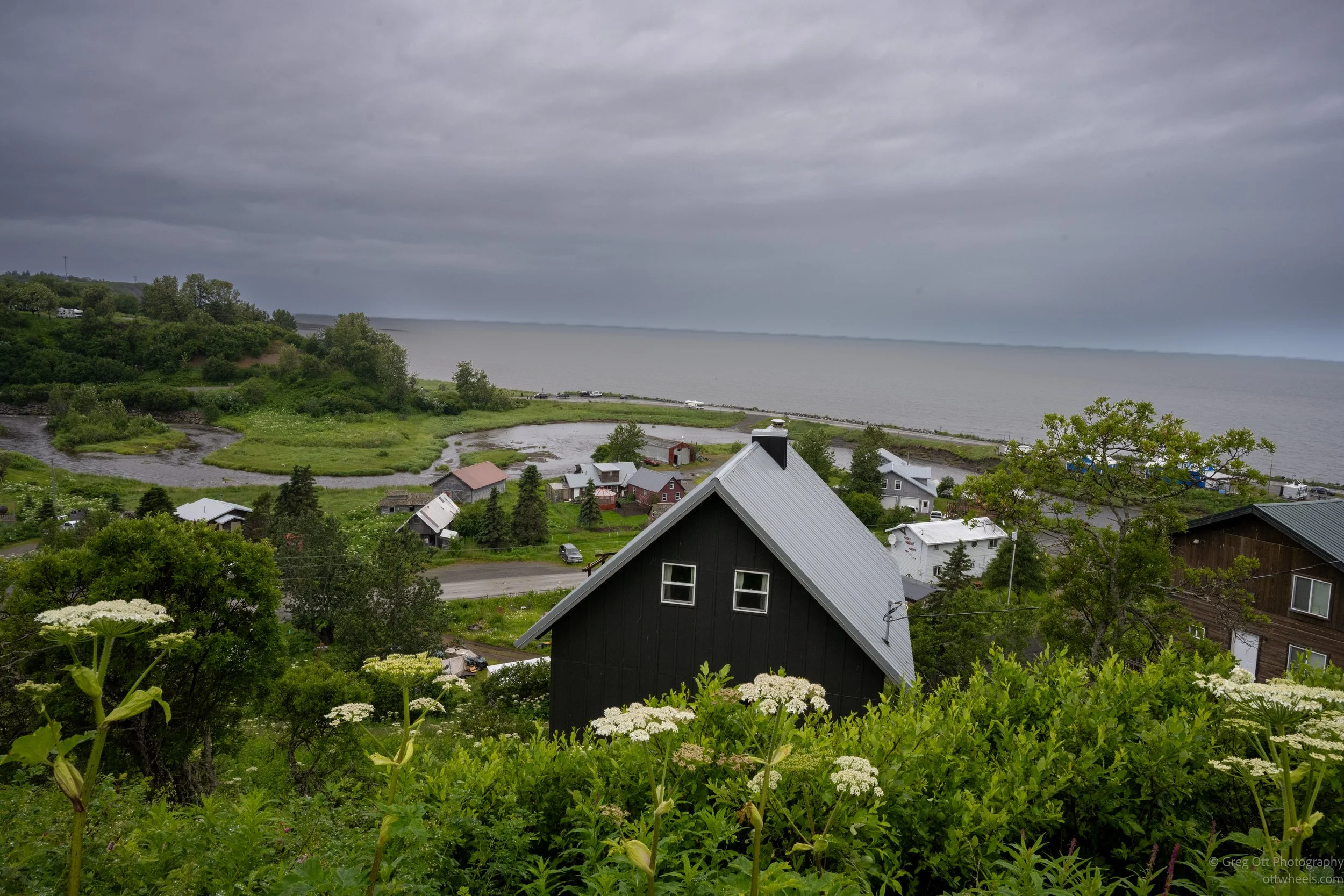 _NZ74271.jpg