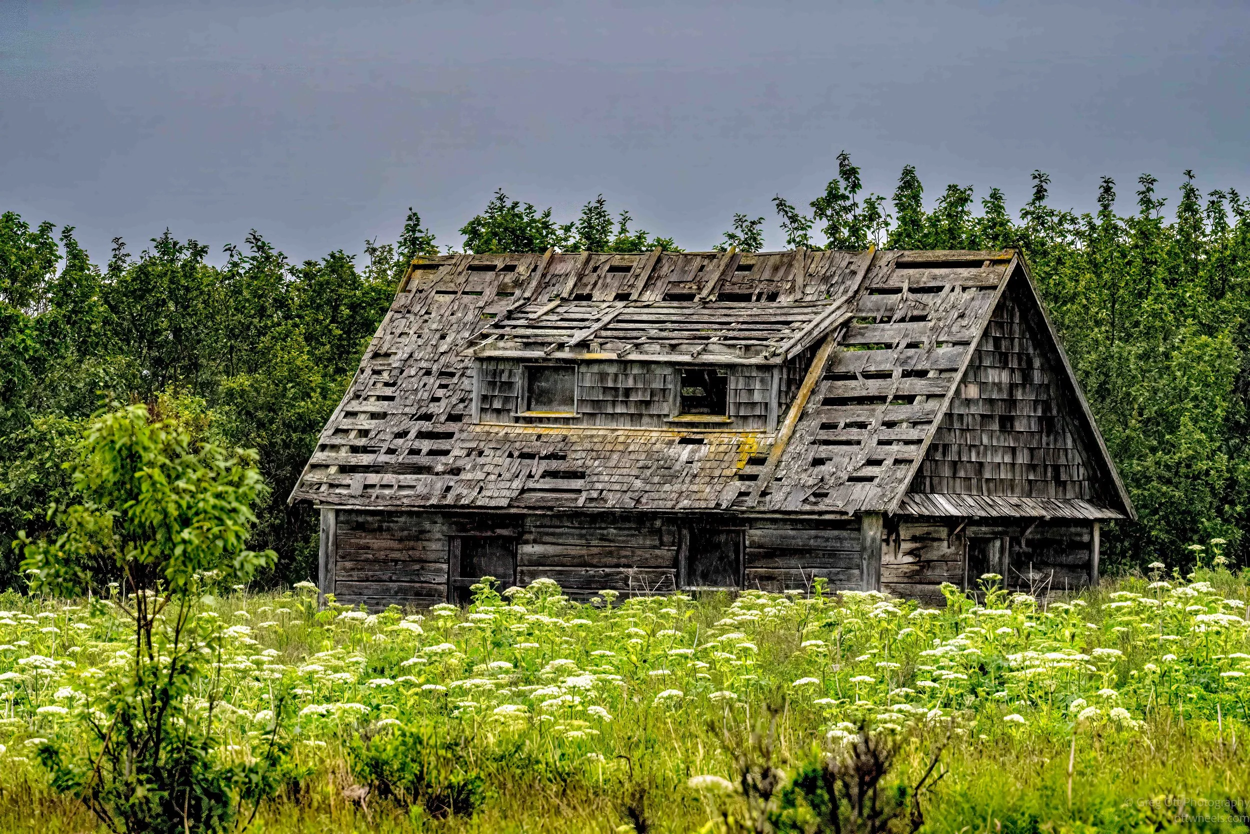 _NZ74275-Edit-Edit-Edit.jpg