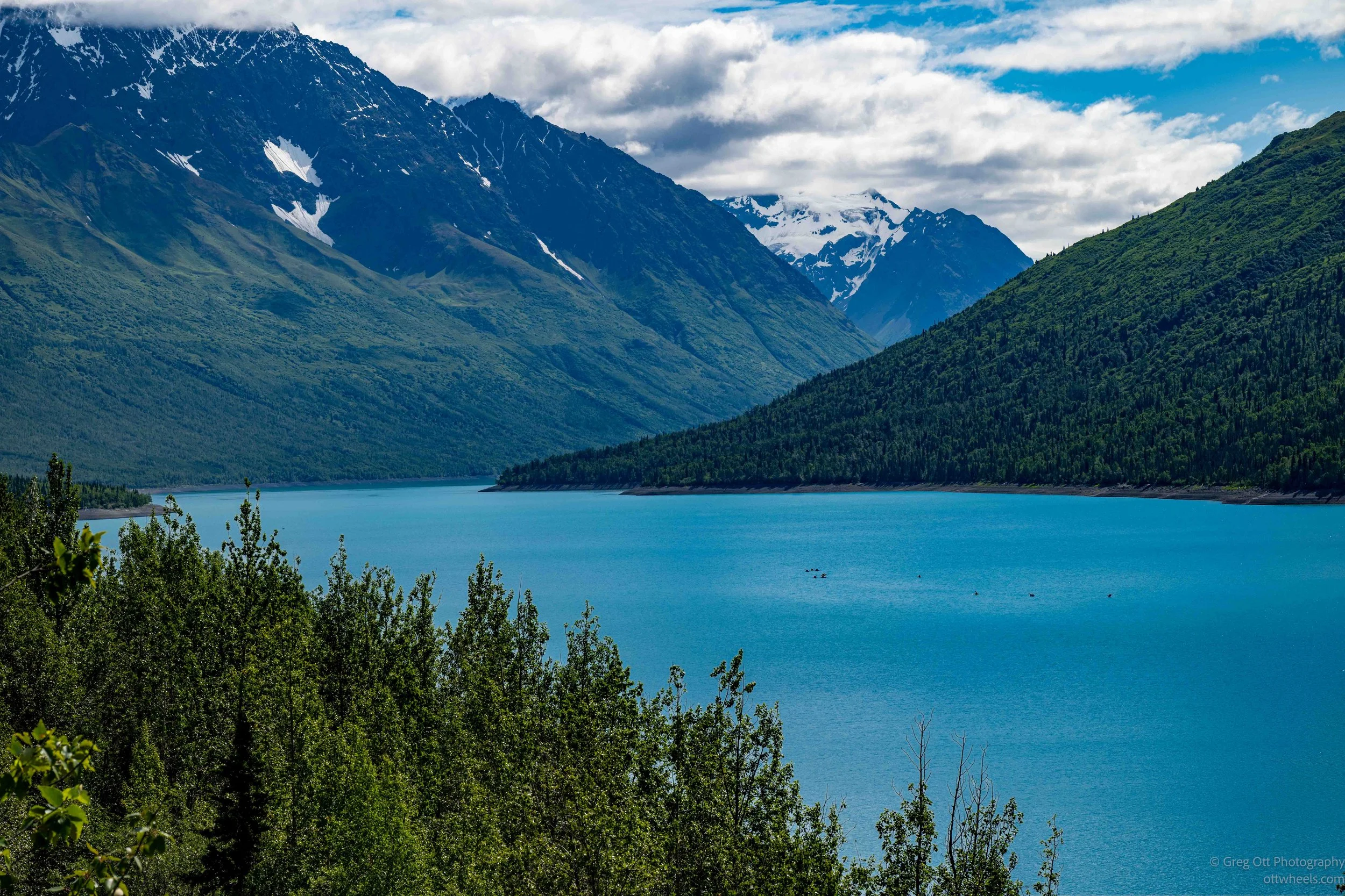 _NZ89228.jpg
