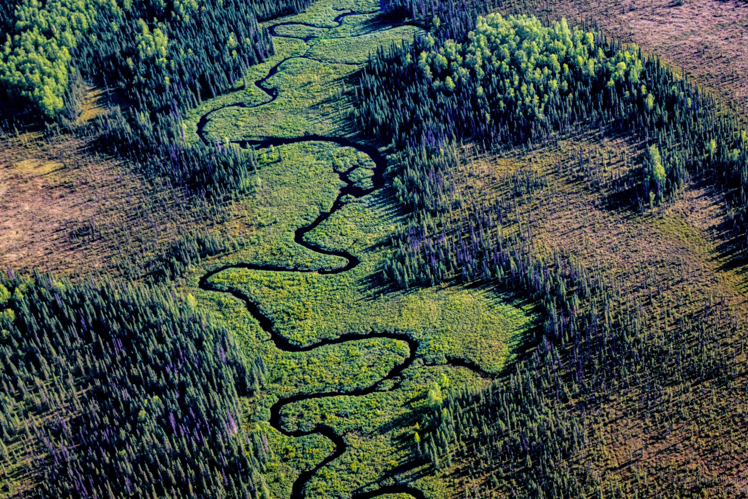 _NZ89428.jpg