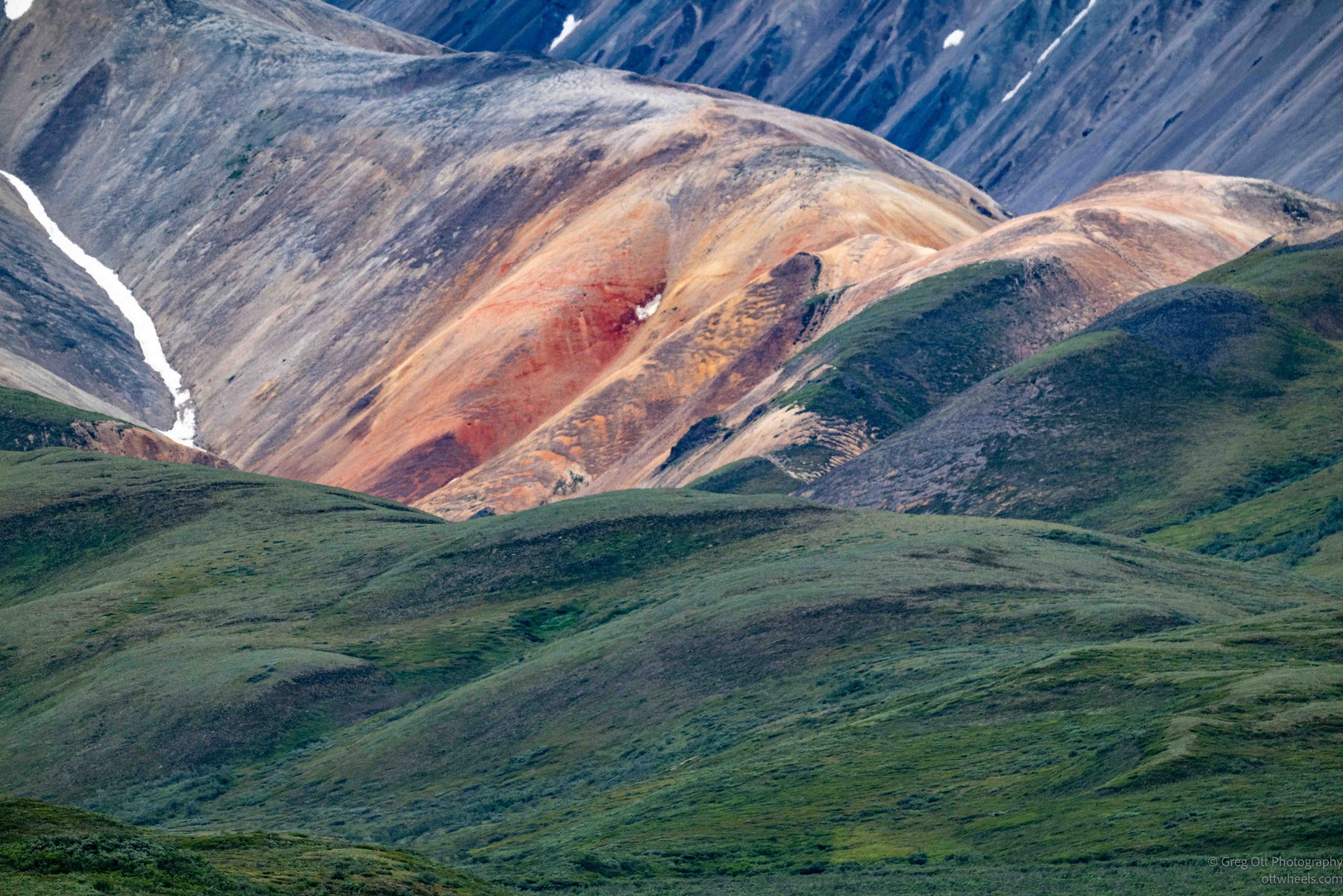 _NZ80219.jpg