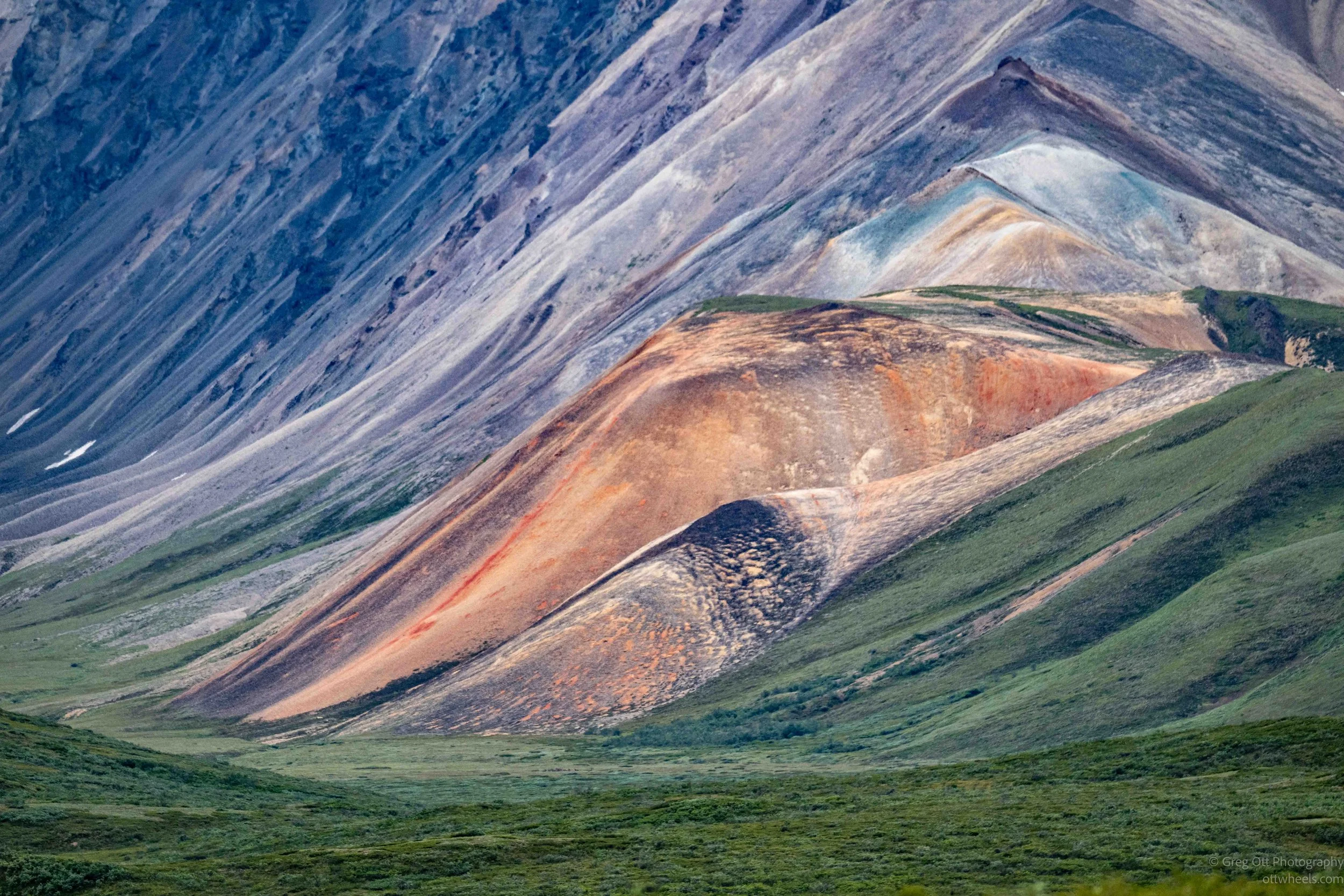 _NZ80218.jpg