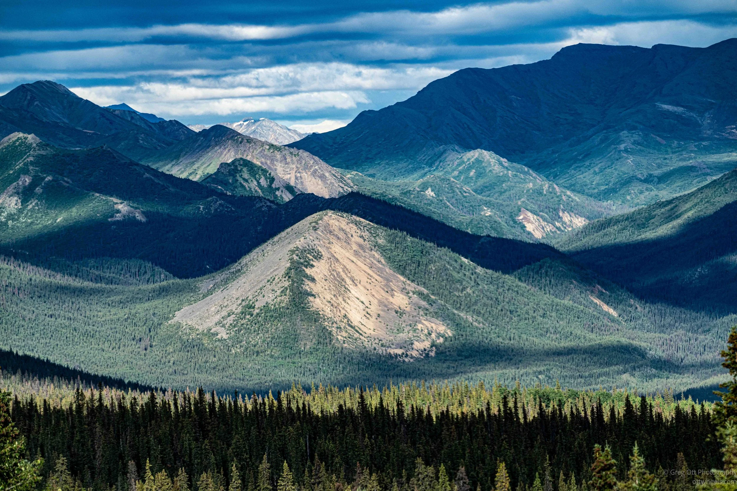 Denali: A Summer Day