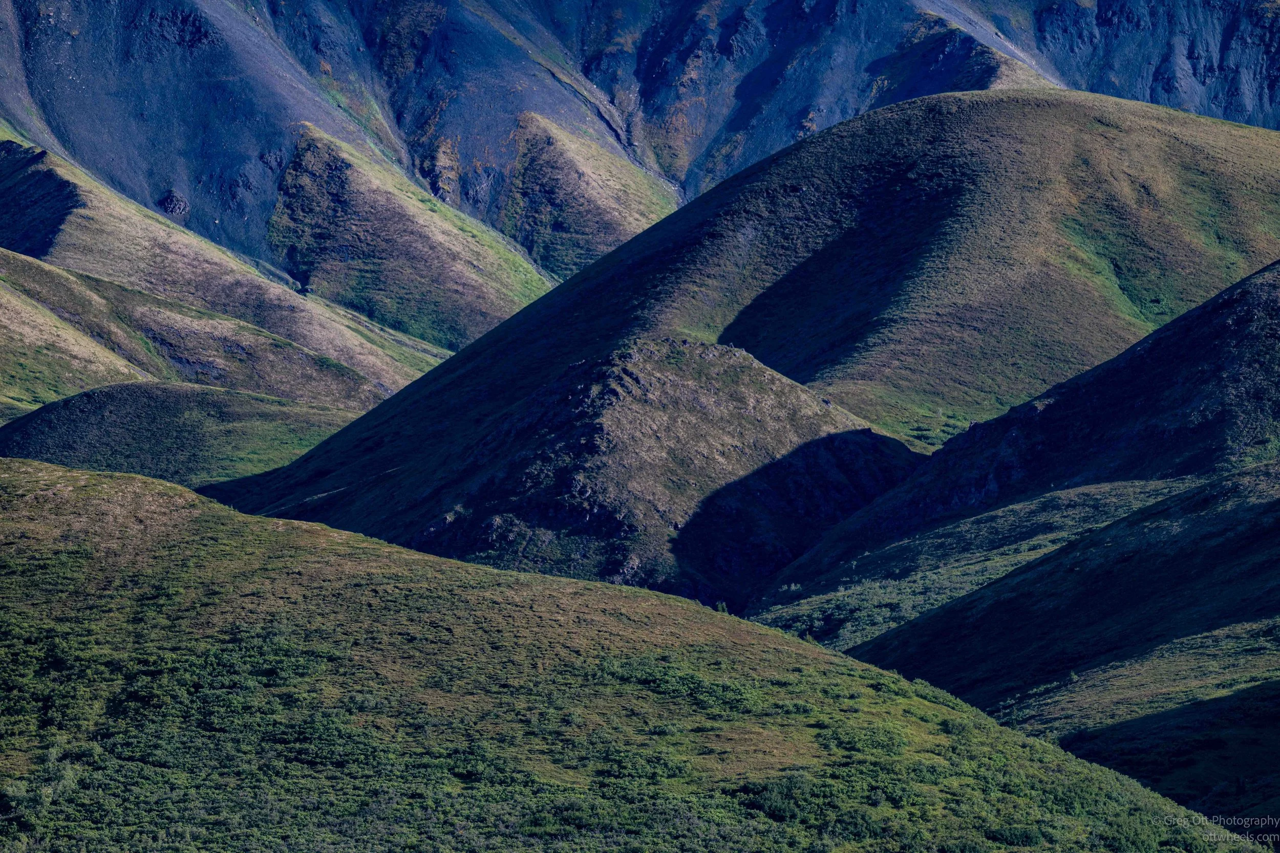 _NZ80416.jpg